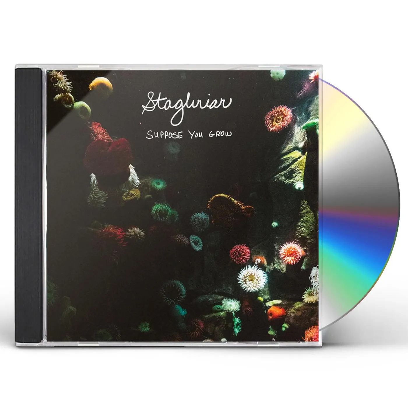 Stagbriar SUPPOSE YOU GROW CD