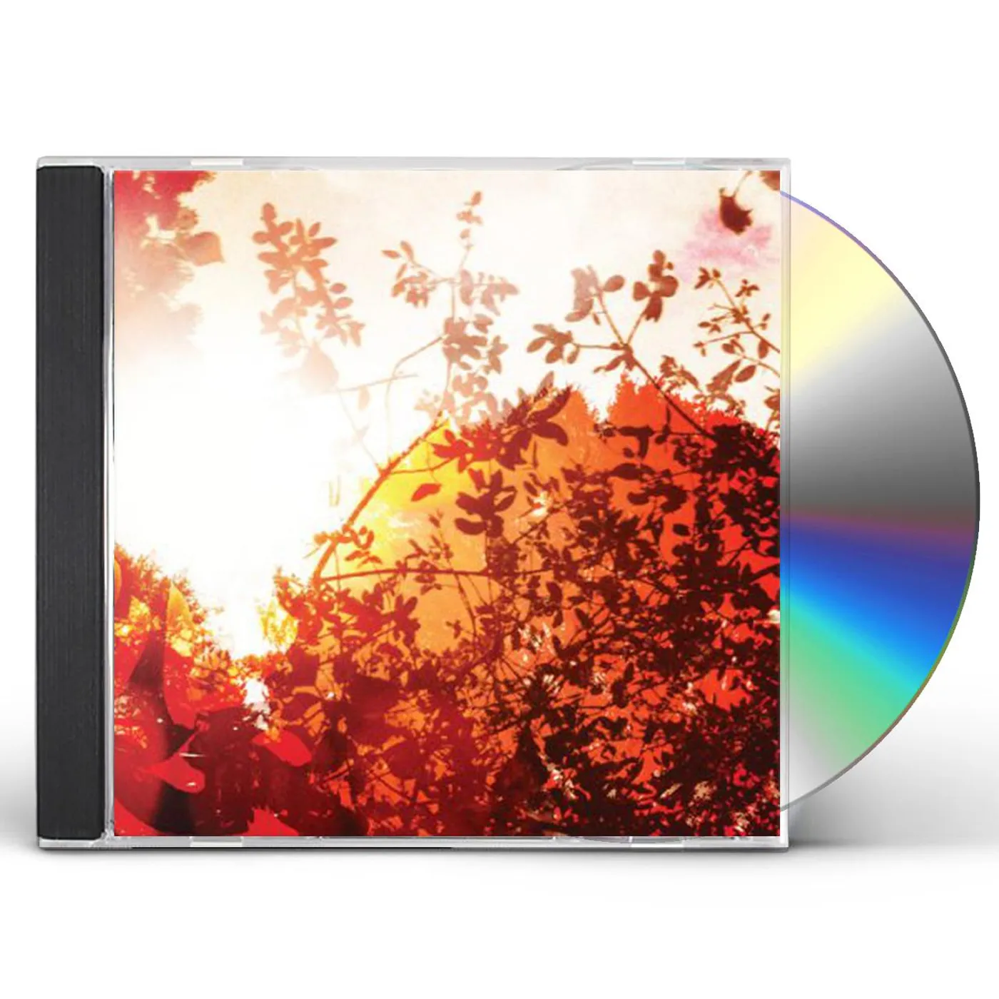 Bvdub ALL IS FORGIVEN CD