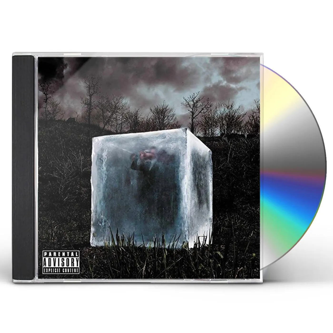 the GazettE DIM CD