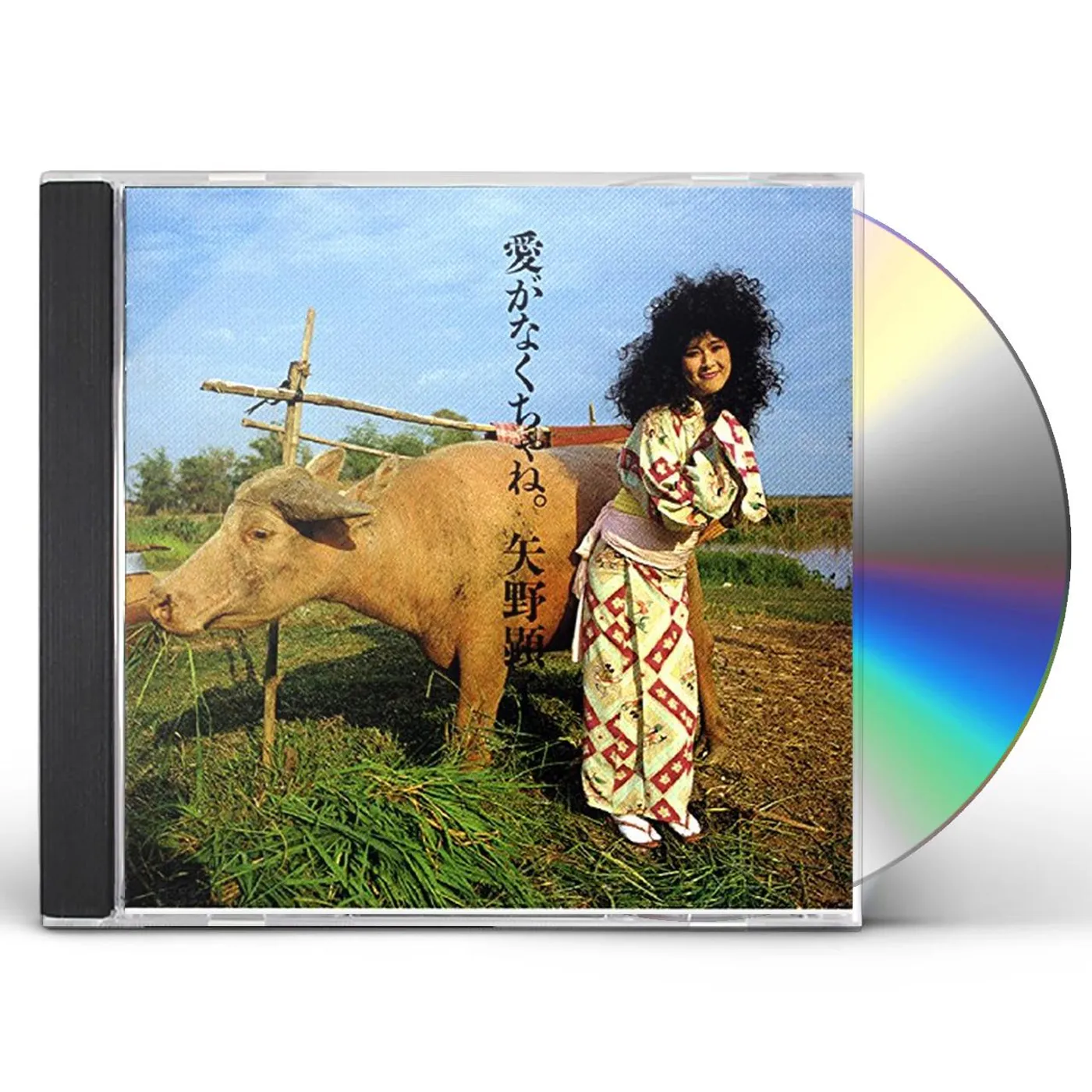 Akiko Yano AI GA NAKUCHA NE. CD