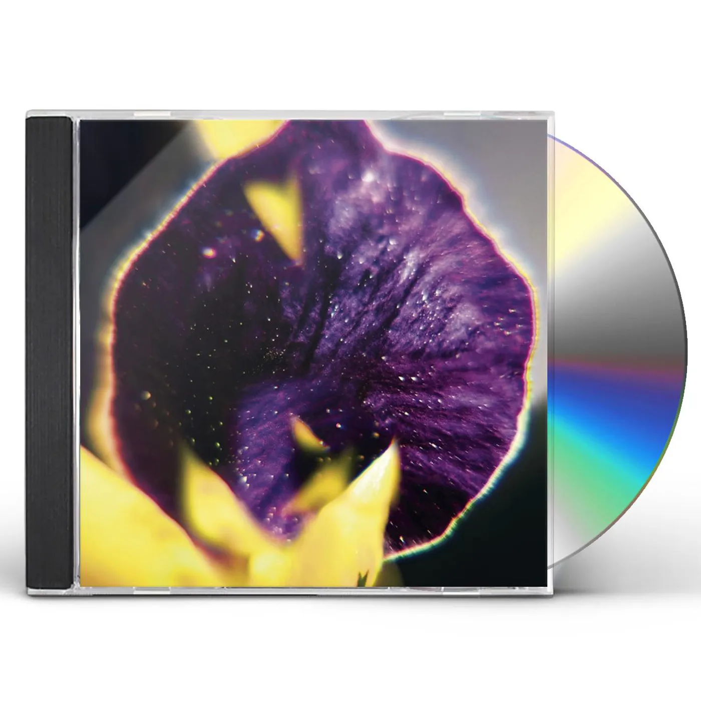 FIS FROM PATTERNS TO DETAILS CD