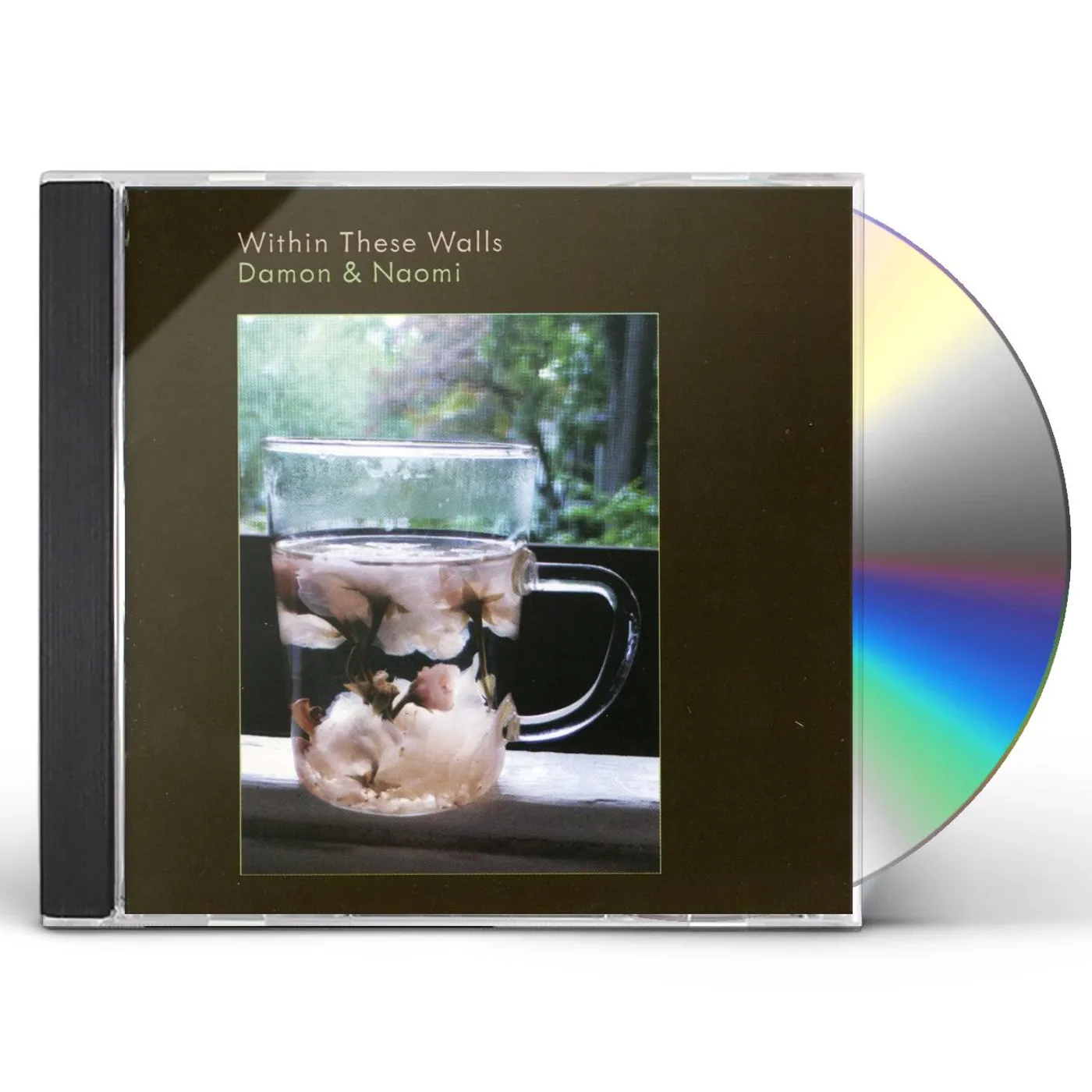 Damon & Naomi WITHIN THESE WALLS CD