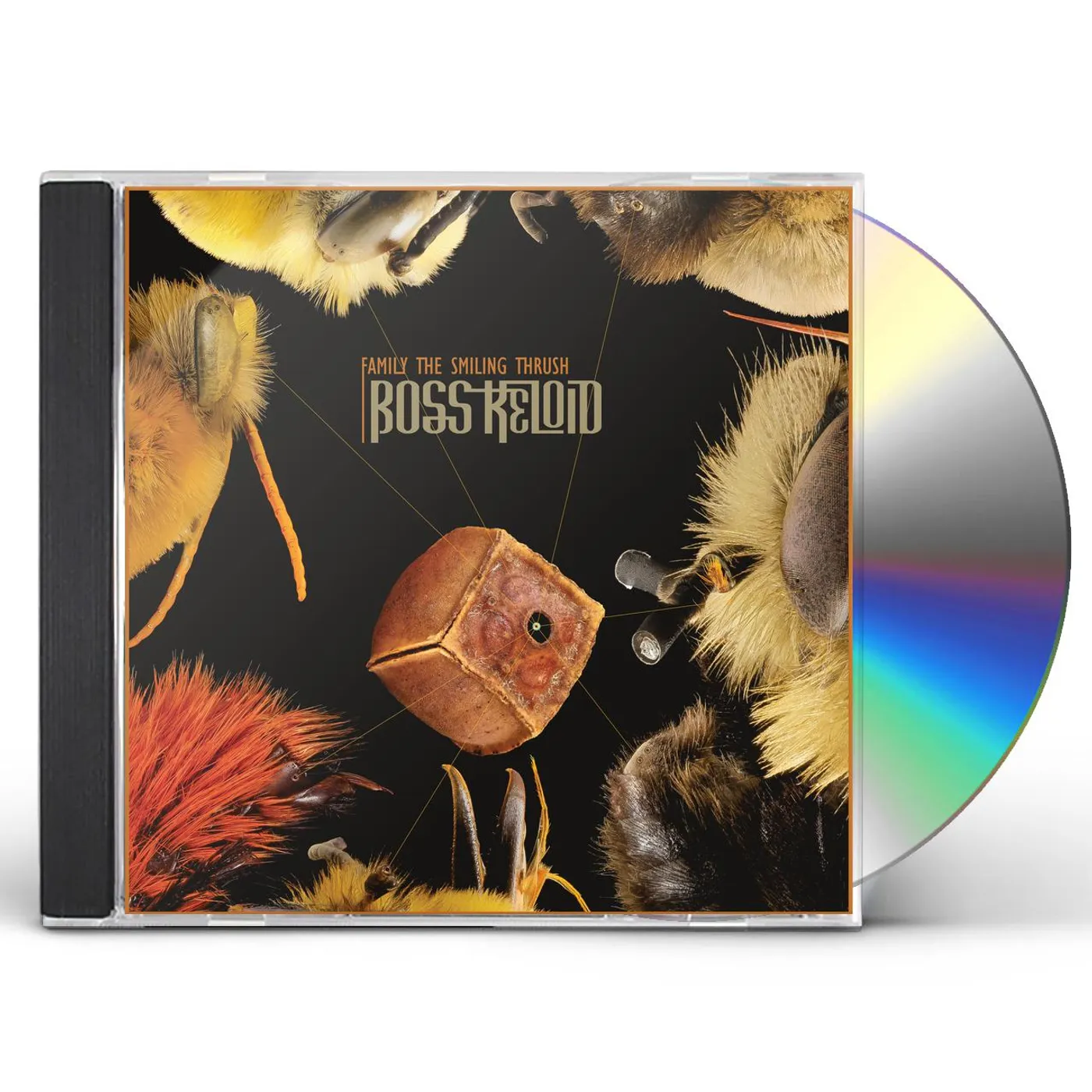 Boss Keloid FAMILY THE SMILING THRUSH CD