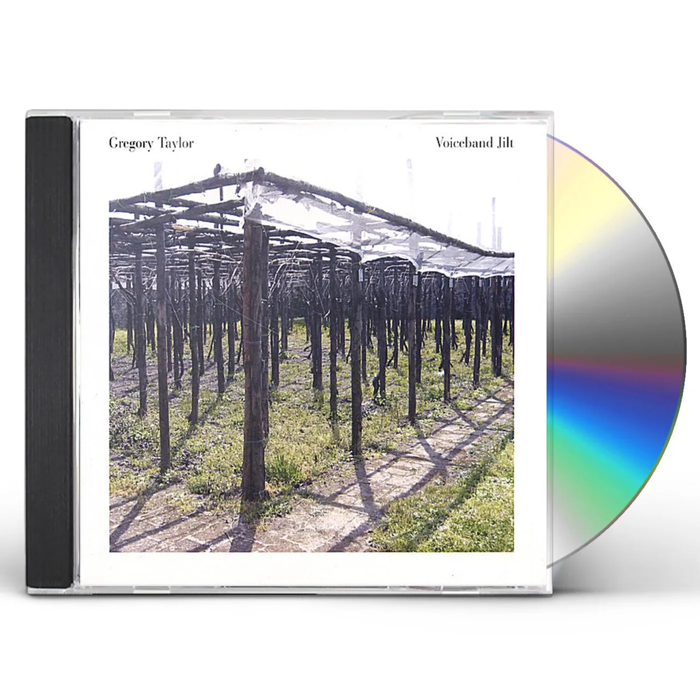 Gregory Taylor VOICEBAND JILT CD