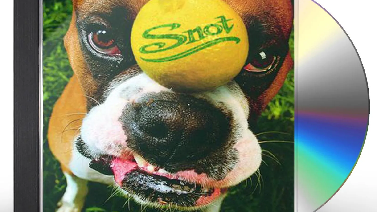 【鬼レア】SNOT「Get Some More」CD-R Snot GET SOME (24BIT REMASTER) CD