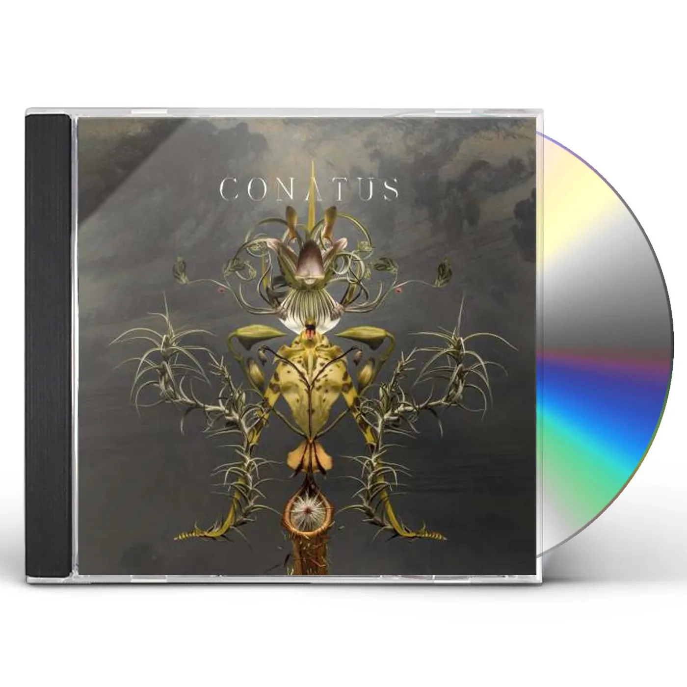 Joep Beving CONATUS CD