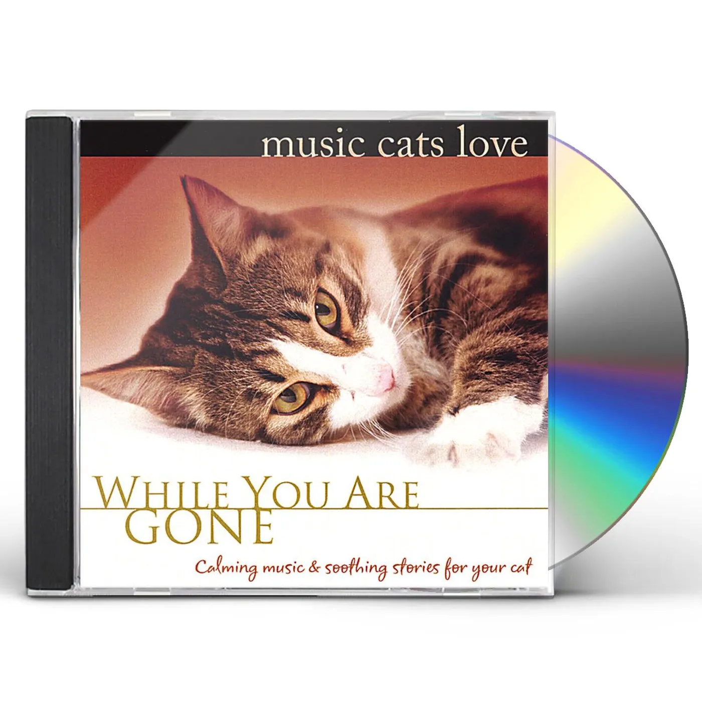 Bradley Joseph MUSIC CATS LOVE: WHILE YOU ARE GONE CD
