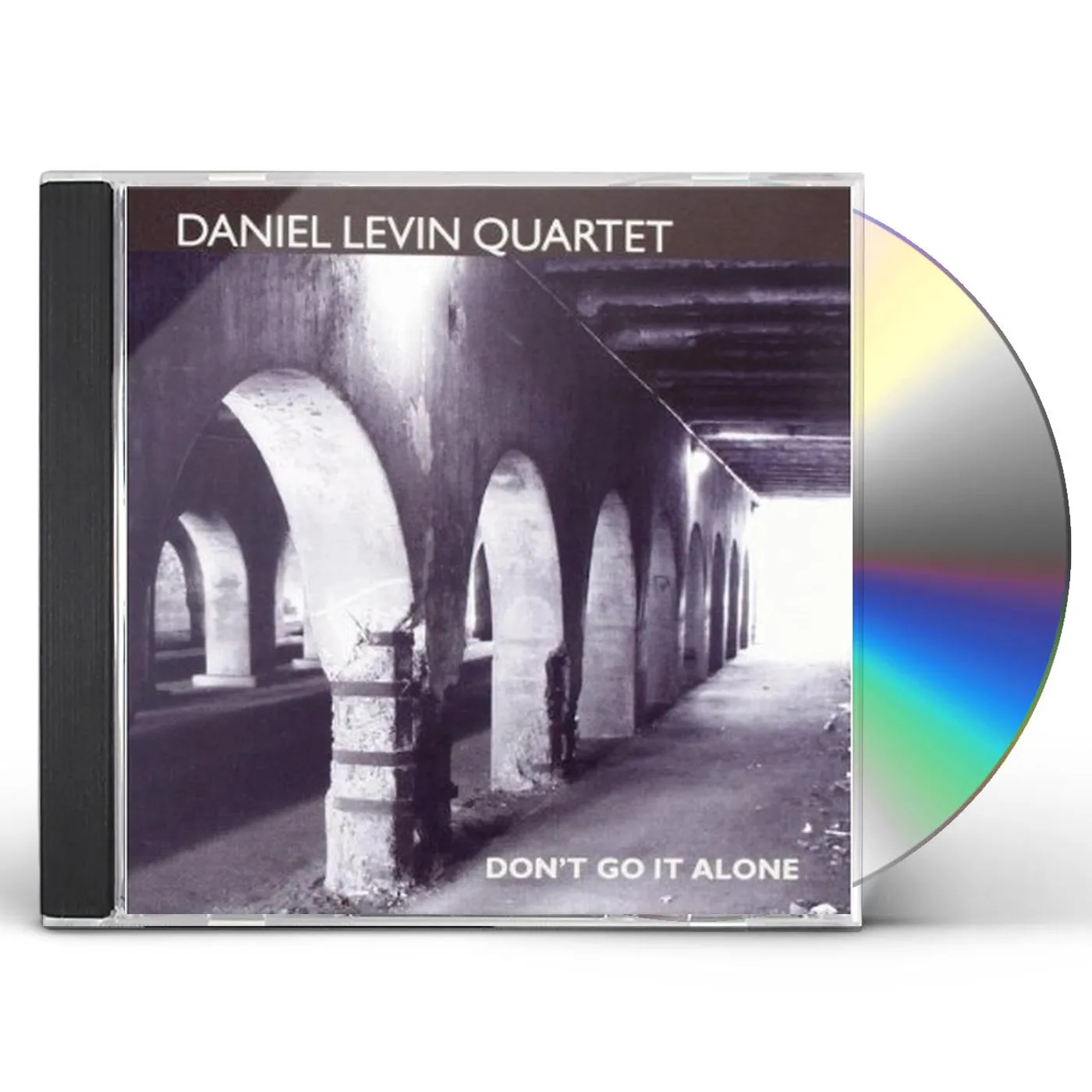Daniel Levin DON'T GO IT ALONE CD