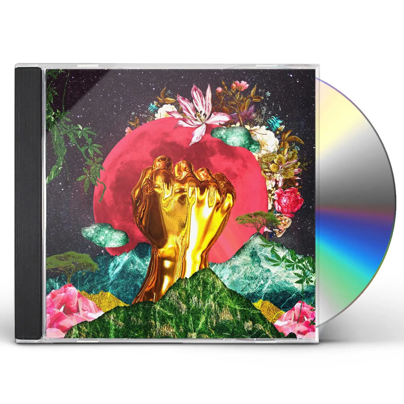 Rina Mushonga In A Galaxy CD