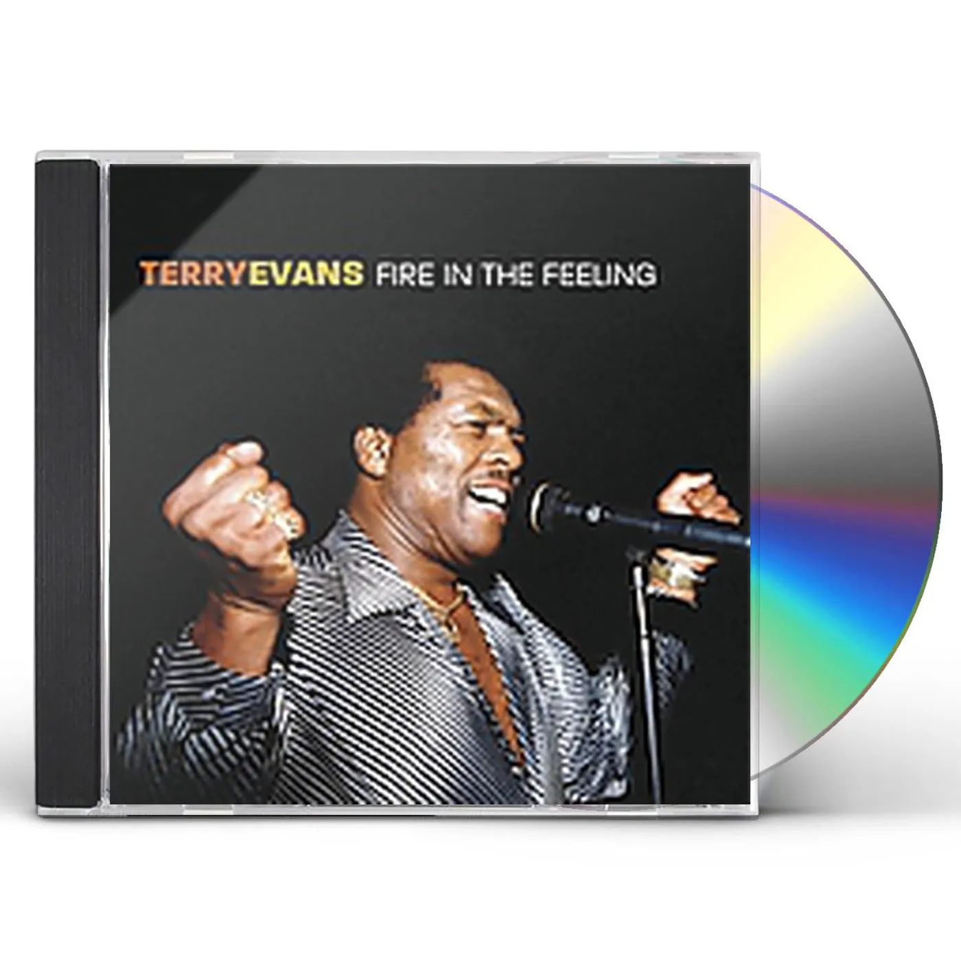 Terry Evans FIRE IN THE FEELING CD