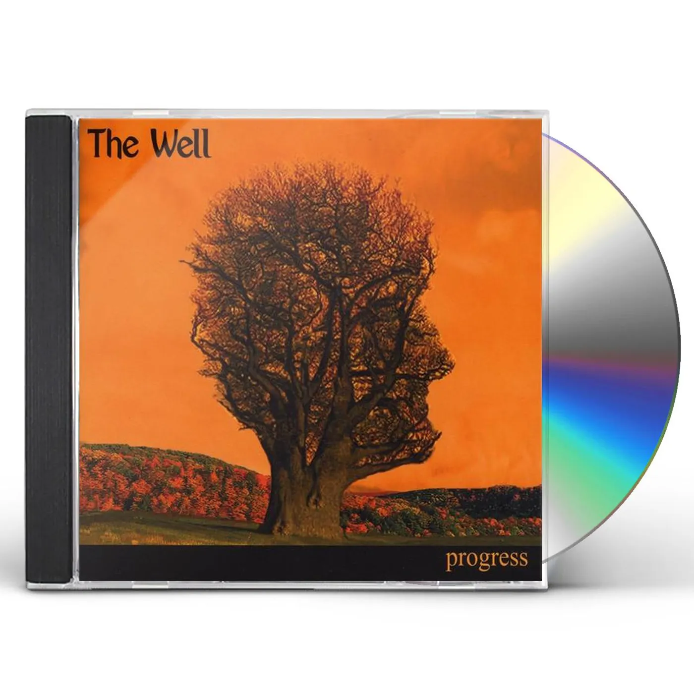 Well PROGRESS CD