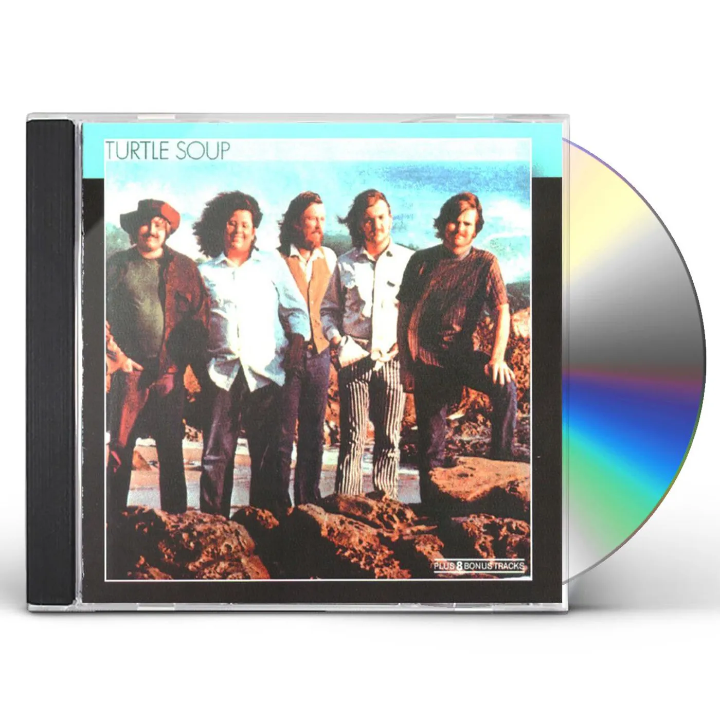 The Turtles 66 Vinyl Record