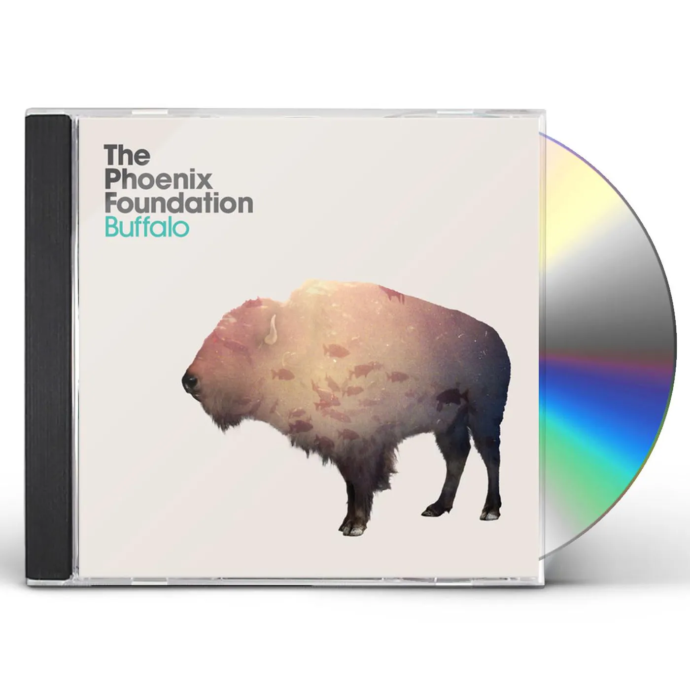 Phoenix Foundation BUFFALO (10 YEAR ANNIVERSARY EDITION/ORANGE VINYL/DL CARD) Vinyl Record