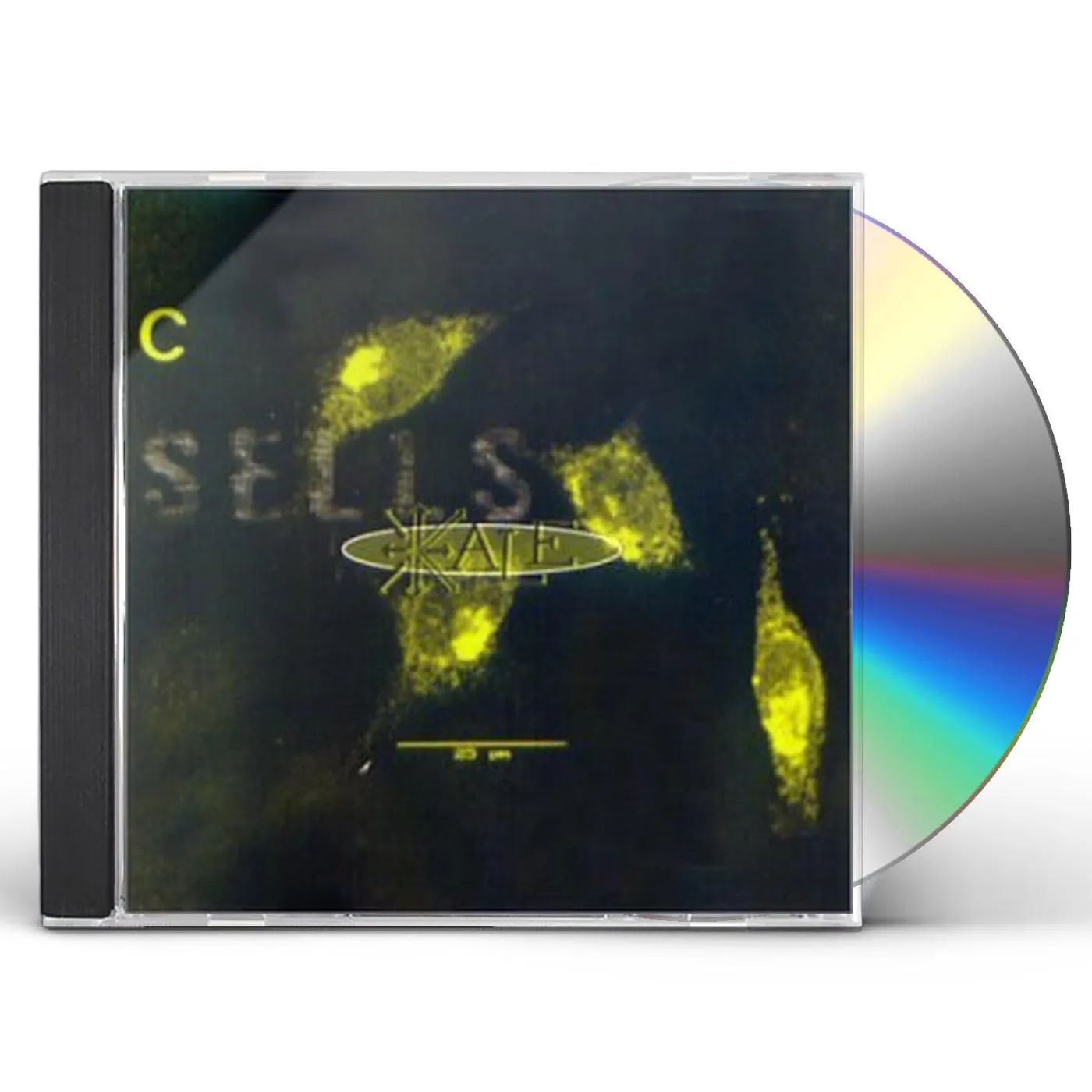 Kale SELLS CD