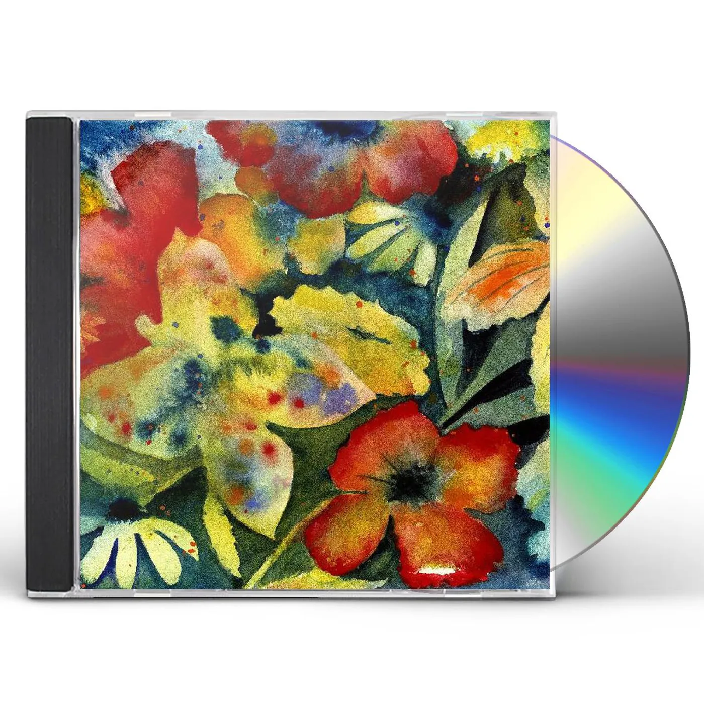 Adrianne Lenker SONGS & INSTRUMENTALS CD