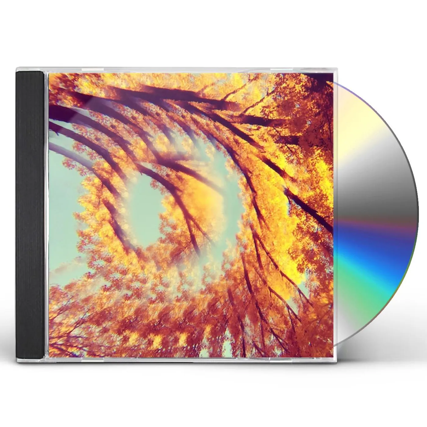 A Hawk And A Hacksaw FOREST BATHING CD