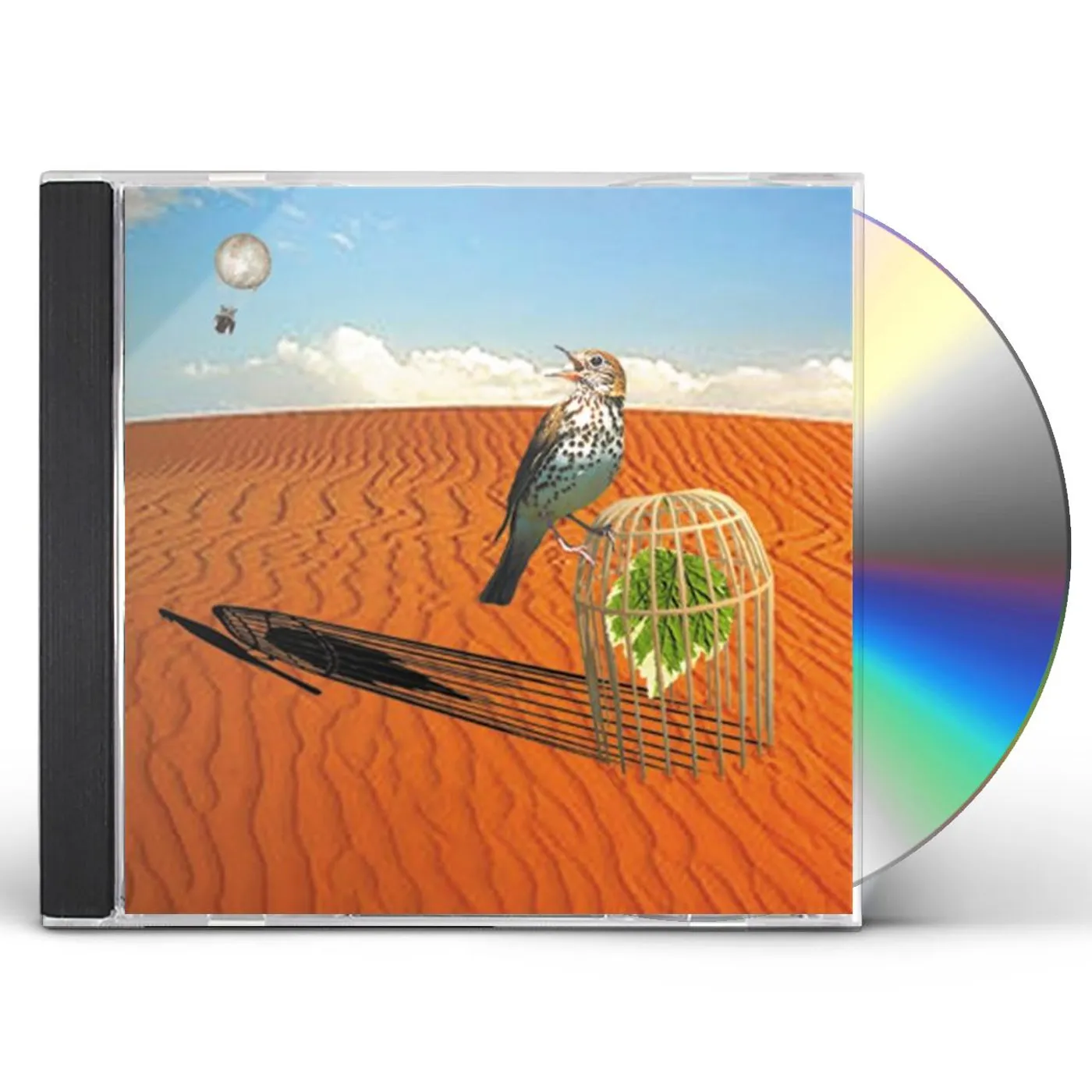 Patrick Briscoe COLOURS WILL FLY CD