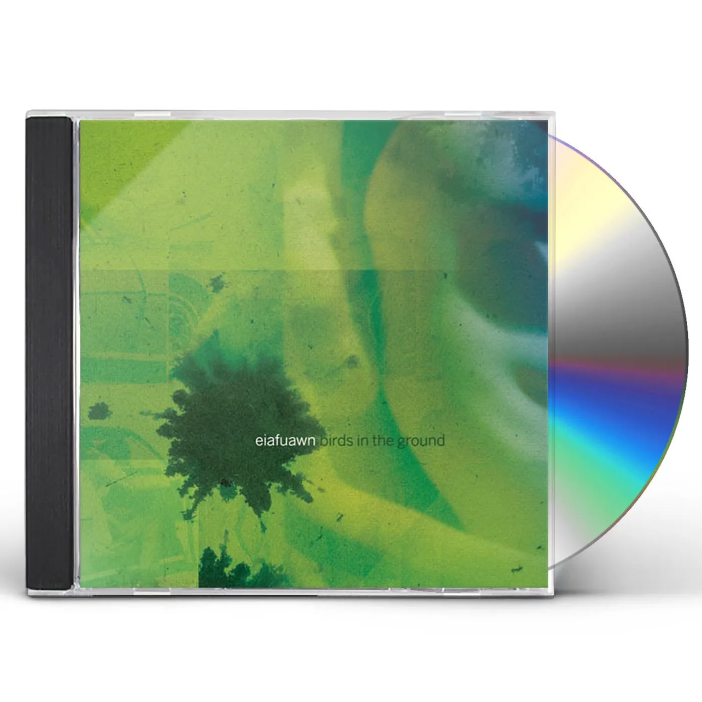 Eiafuawn BIRDS IN THE GROUND CD
