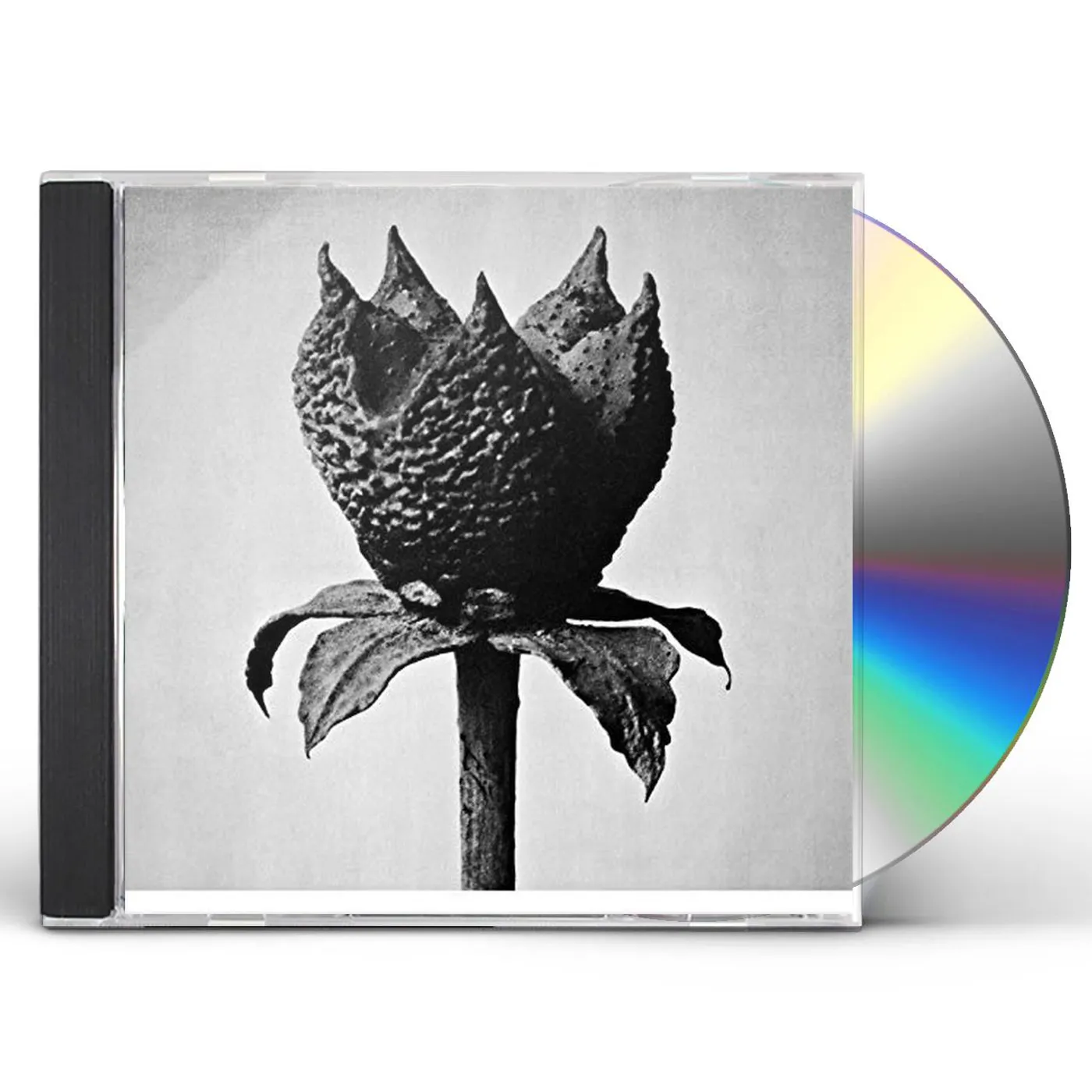 Masayoshi Fujita BOOK OF LIFE CD