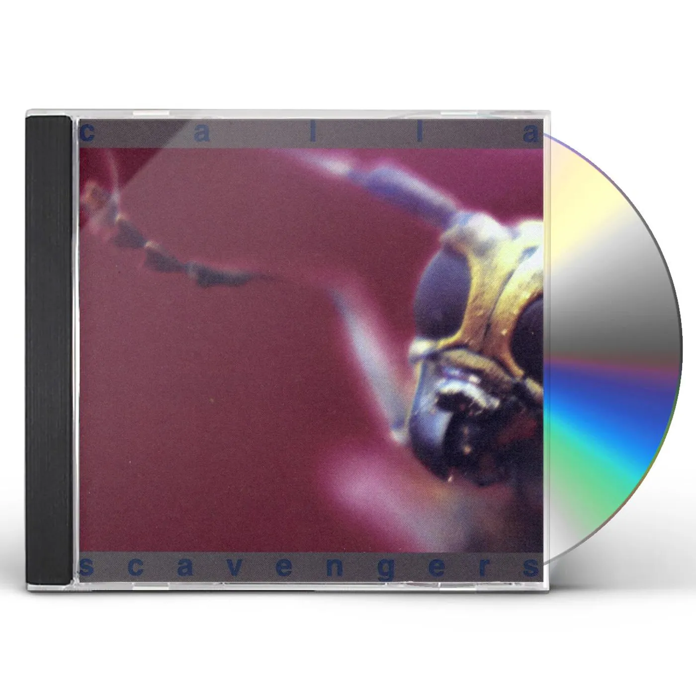 Calla SCAVENGERS CD