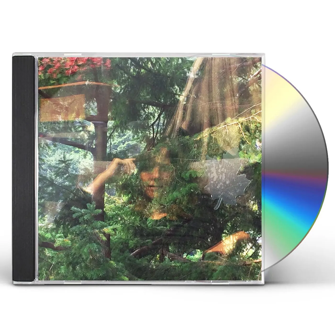 Jennifer Castle ANGELS OF DEATH CD