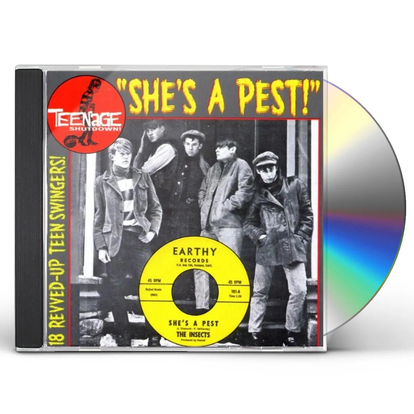 TEENAGE SHUTDOWN 15: SHE'S A PEST / VARIOUS CD