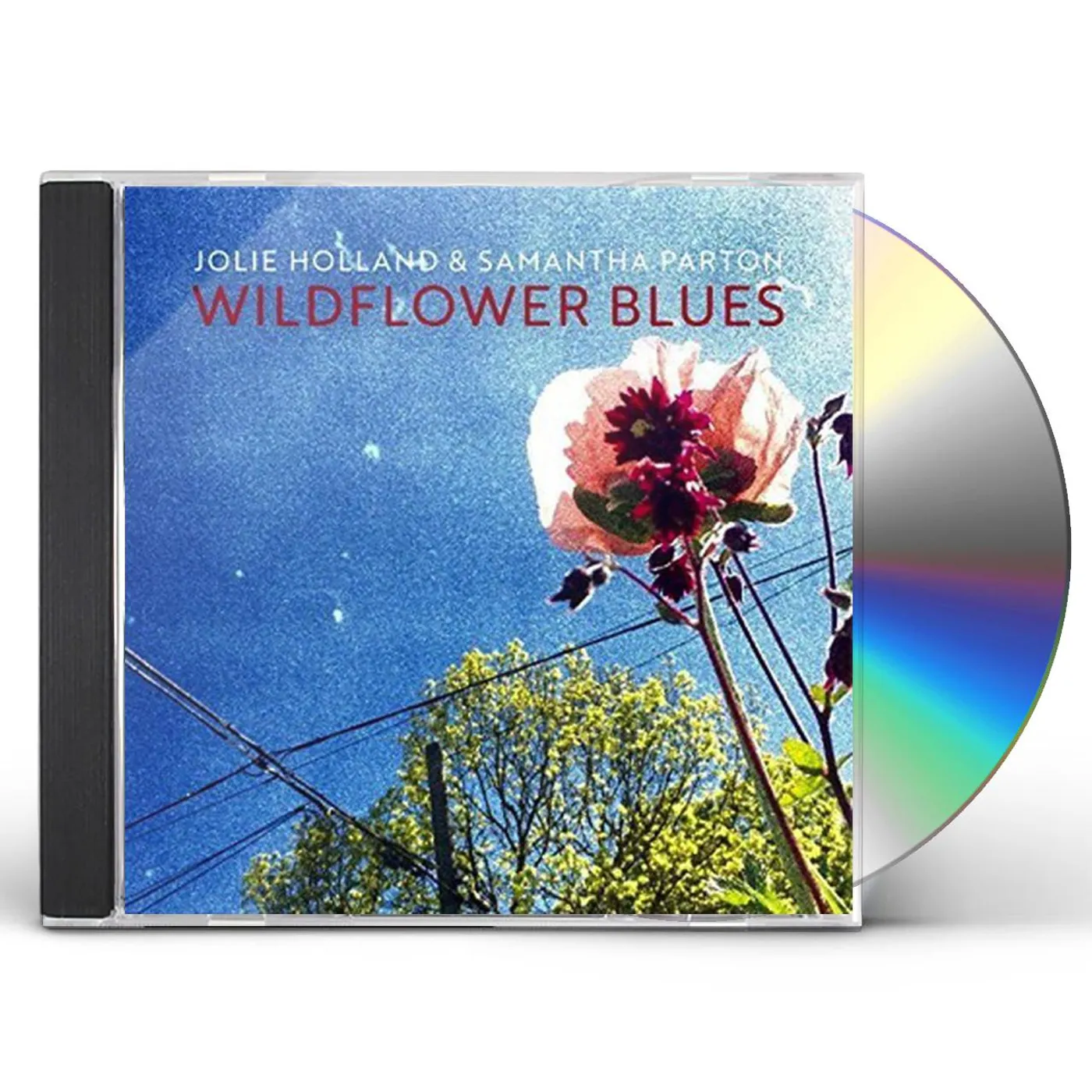 Jolie Holland & Samantha Parton WILDFLOWER BLUES CD