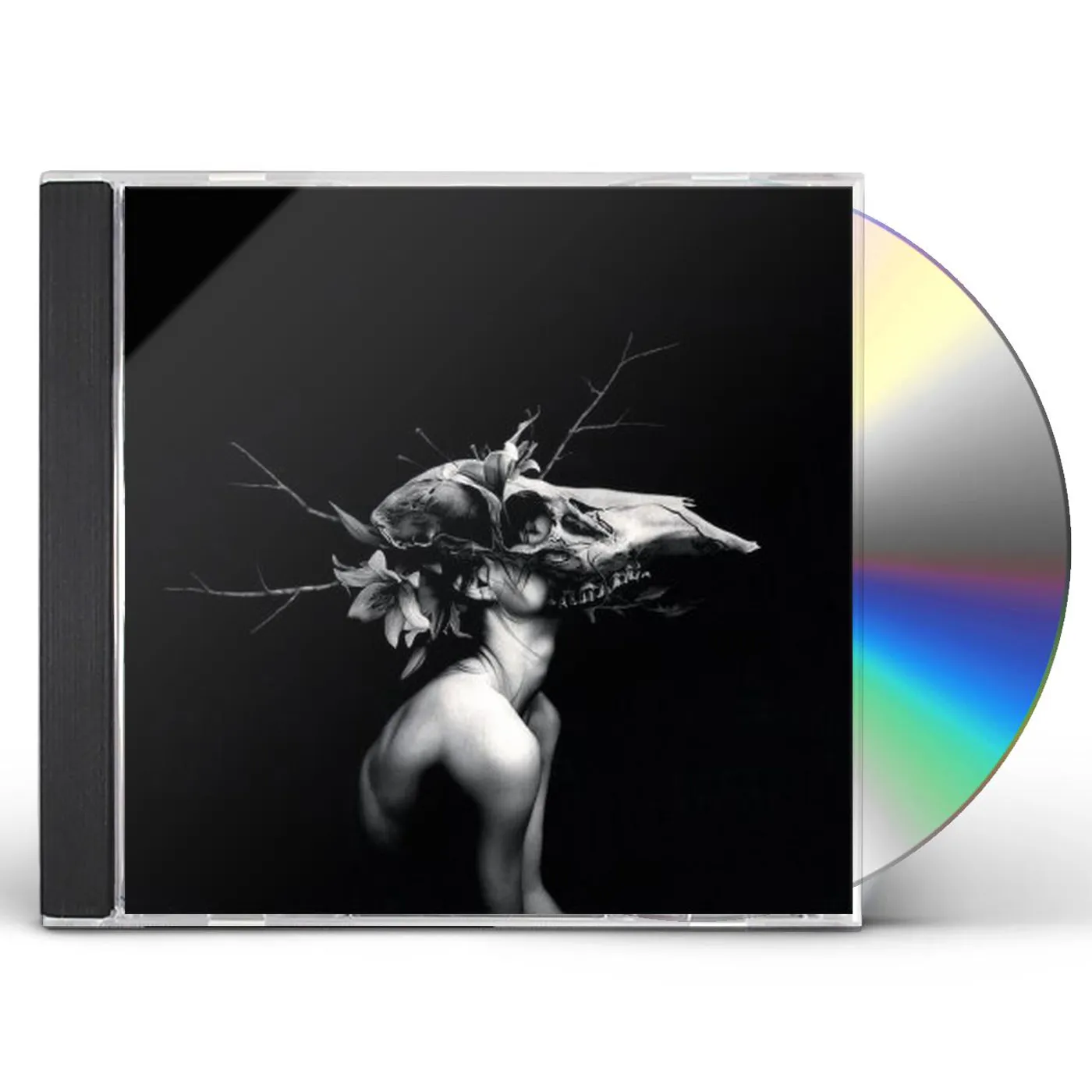 William Ryan Fritch NEW WORDS FOR OLD WOUNDS CD