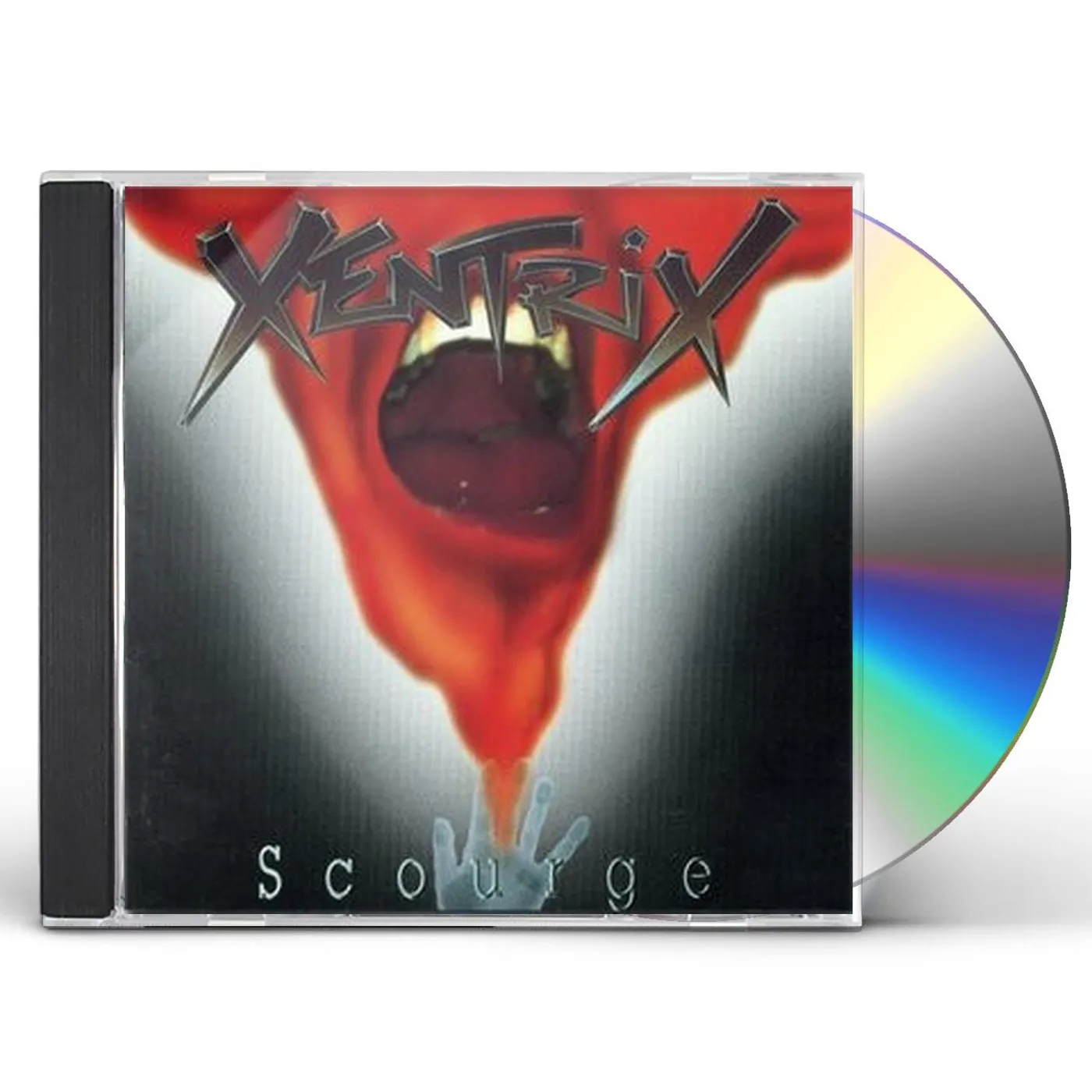 ACCUSER 「WHO DOMINATES WHO ?」　スラッシュメタル Accu§er - Who Dominates Who? + 2x Ltd Collector Cards (*NEW