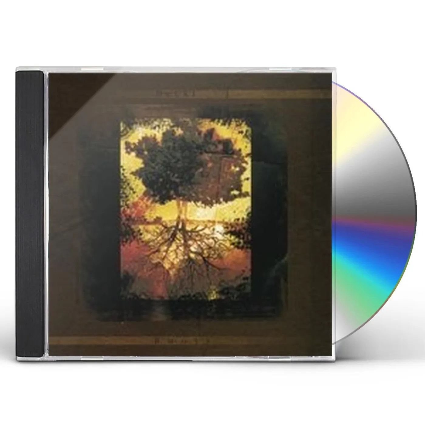Becki J ROOTS CD