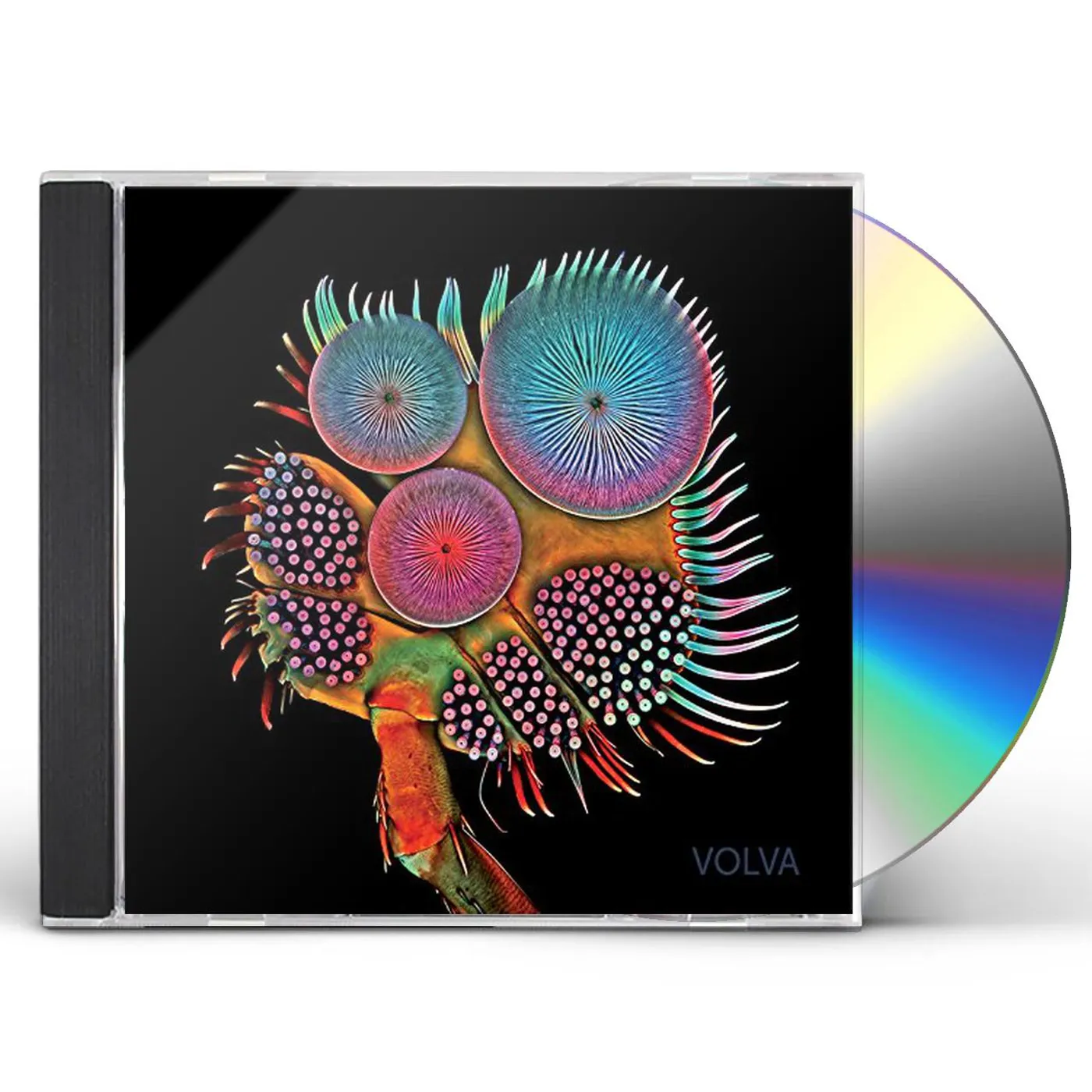 Echolot VOLVA CD