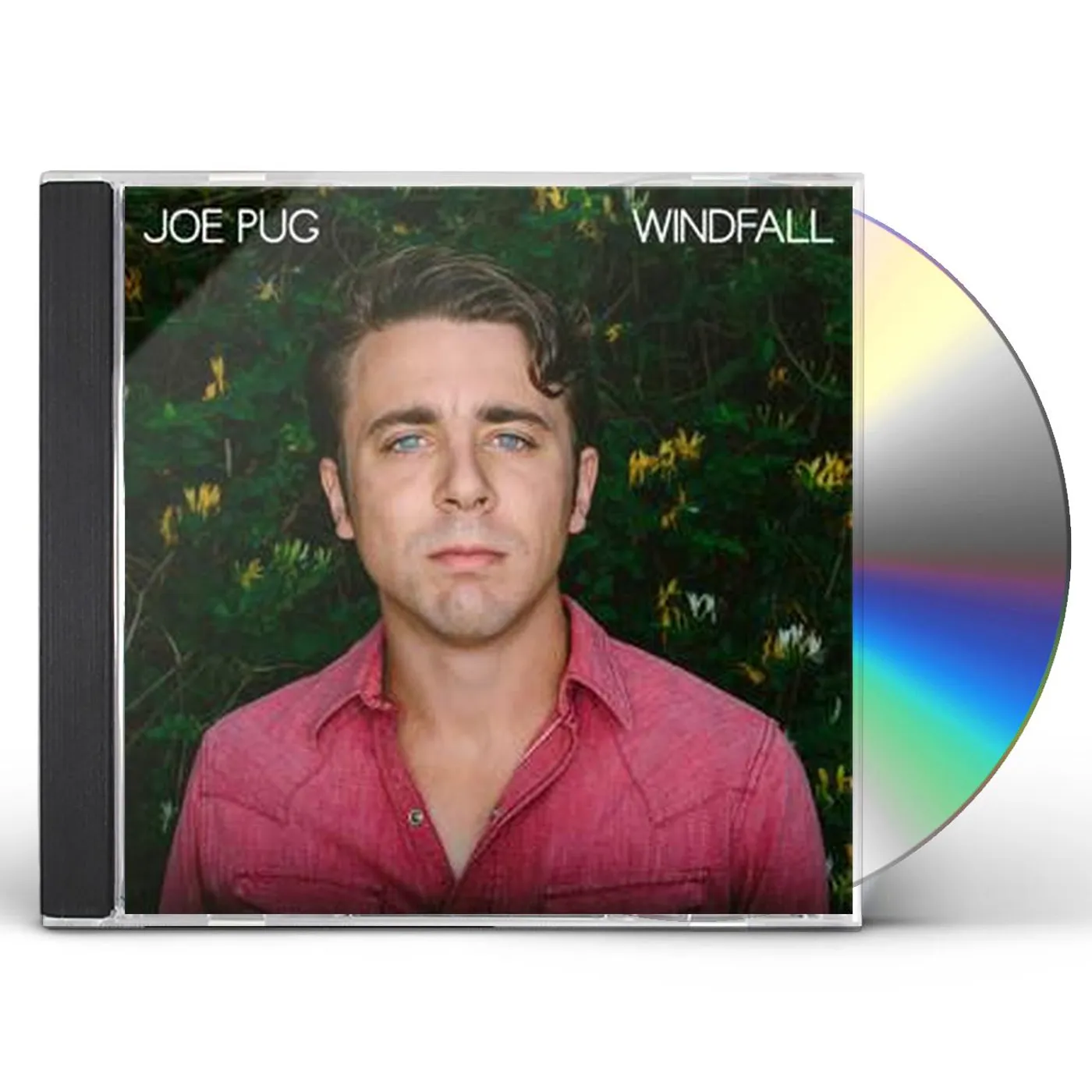 Joe Pug WINDFALL CD