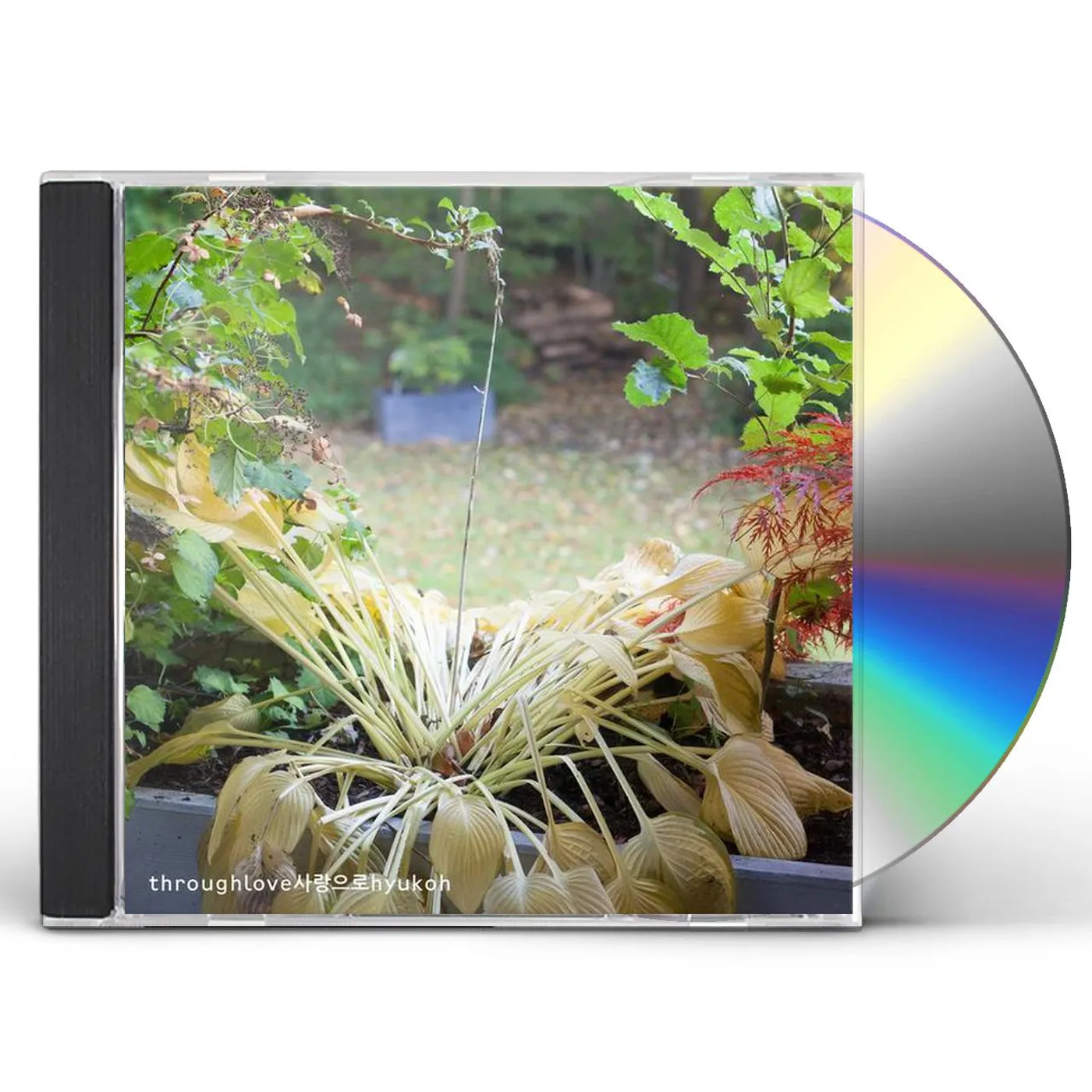 HYUKOH Store: Official Merch & Vinyl