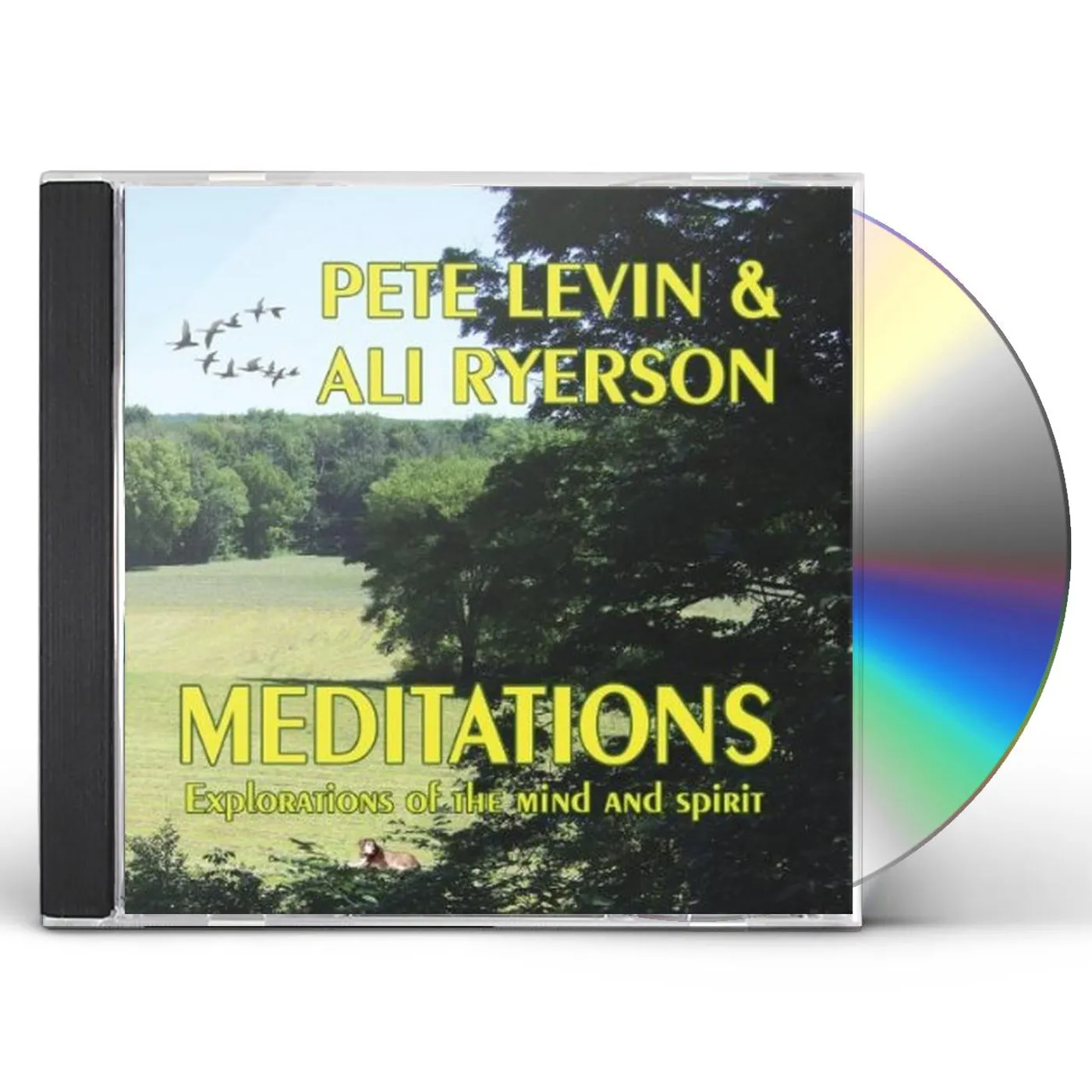 Pete Levin MEDITATIONS: EXPLORATIONS OF THE MIND & SPIRIT CD