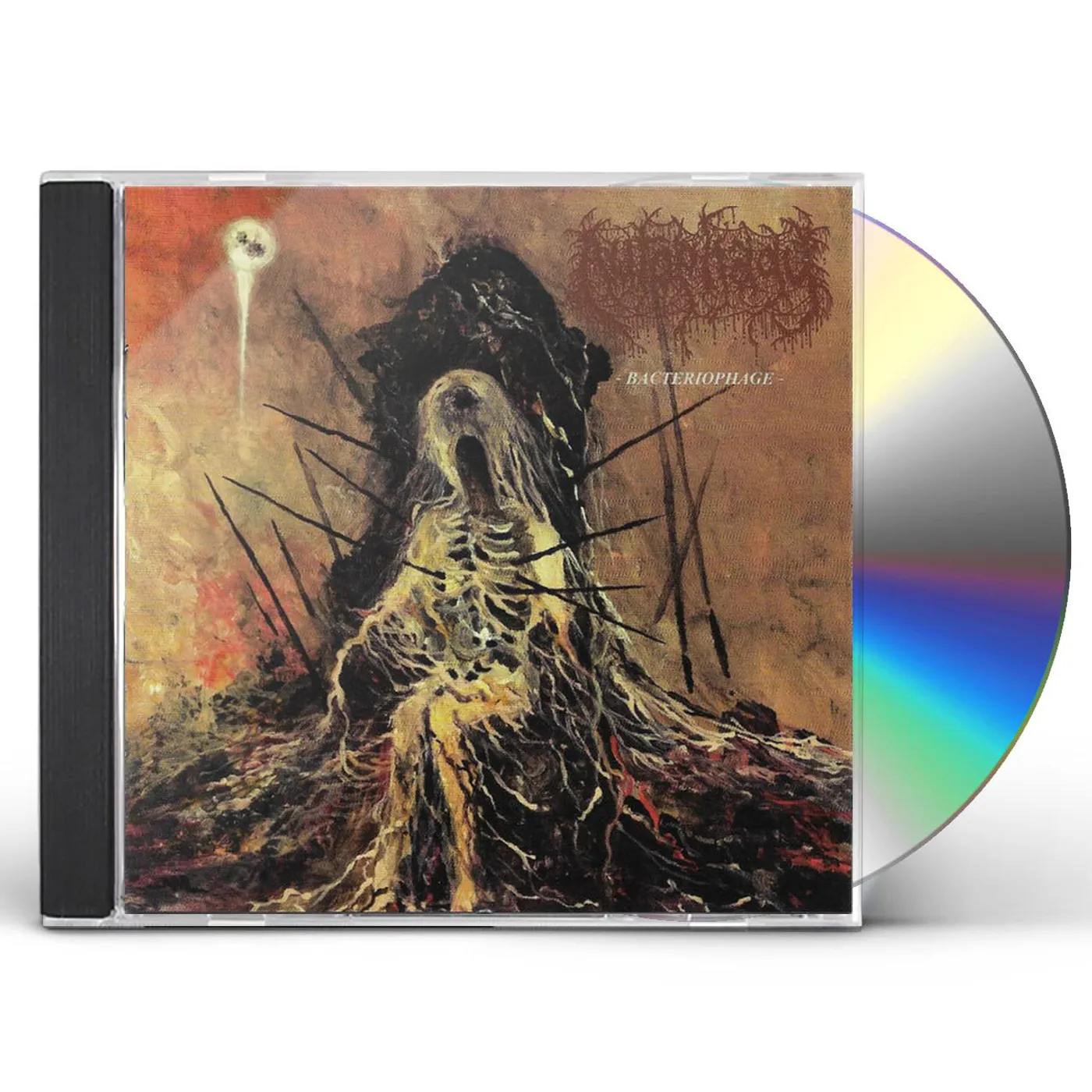 Autophagy BACTERIOPHAGE CD