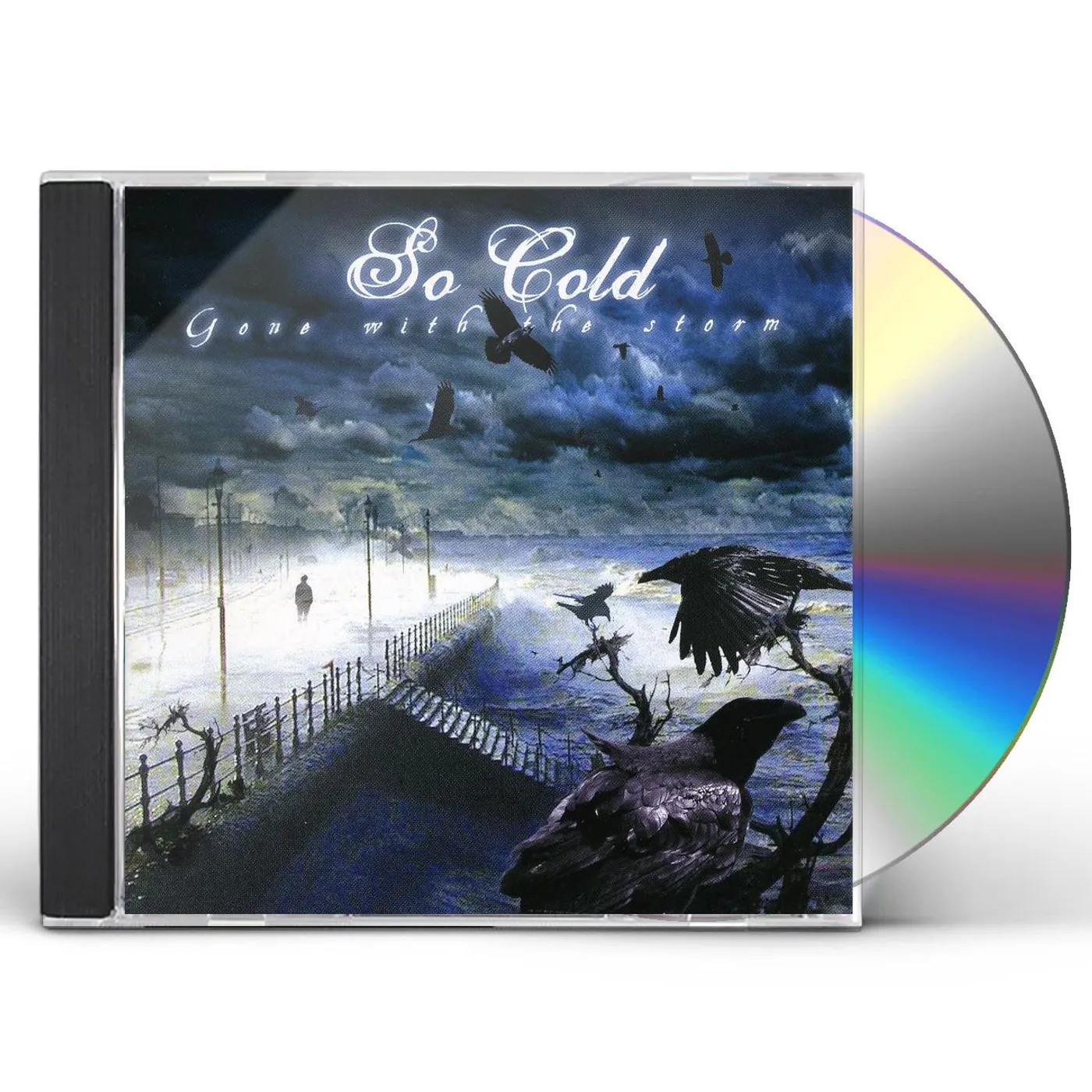 So Cold GONE WITH THE STORM CD