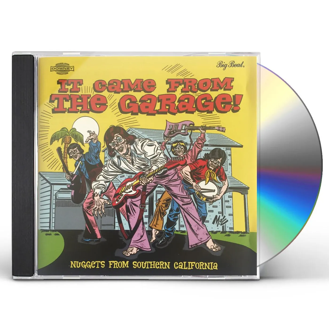 Various Artists  IT CAME FROM THE GARAGE: NUGGETS FROM / VARIOUS CD