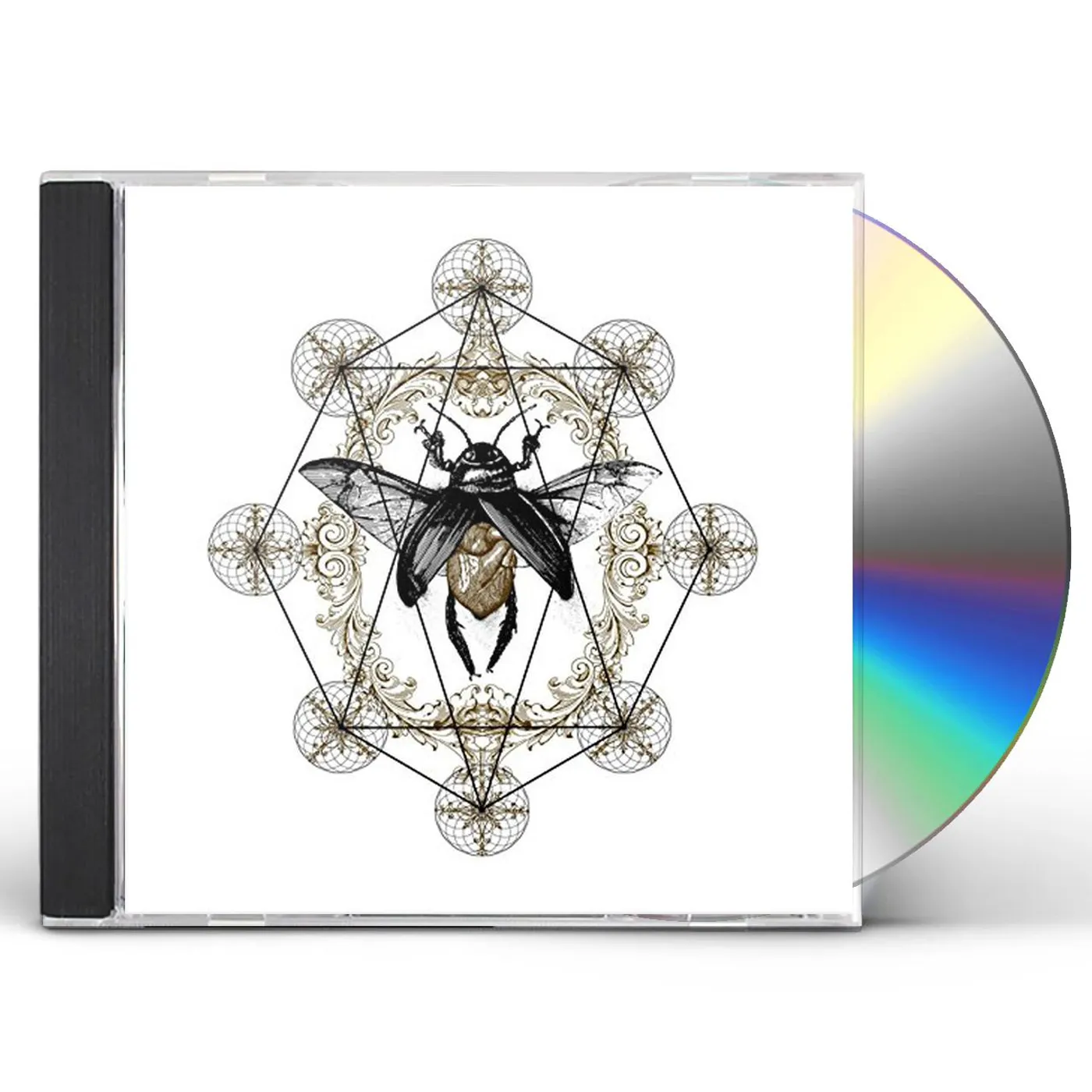 Ohhms BLOOM CD