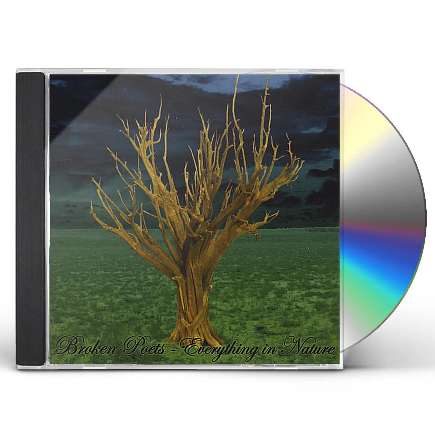 Broken Poets EVERYTHING IN NATURE CD