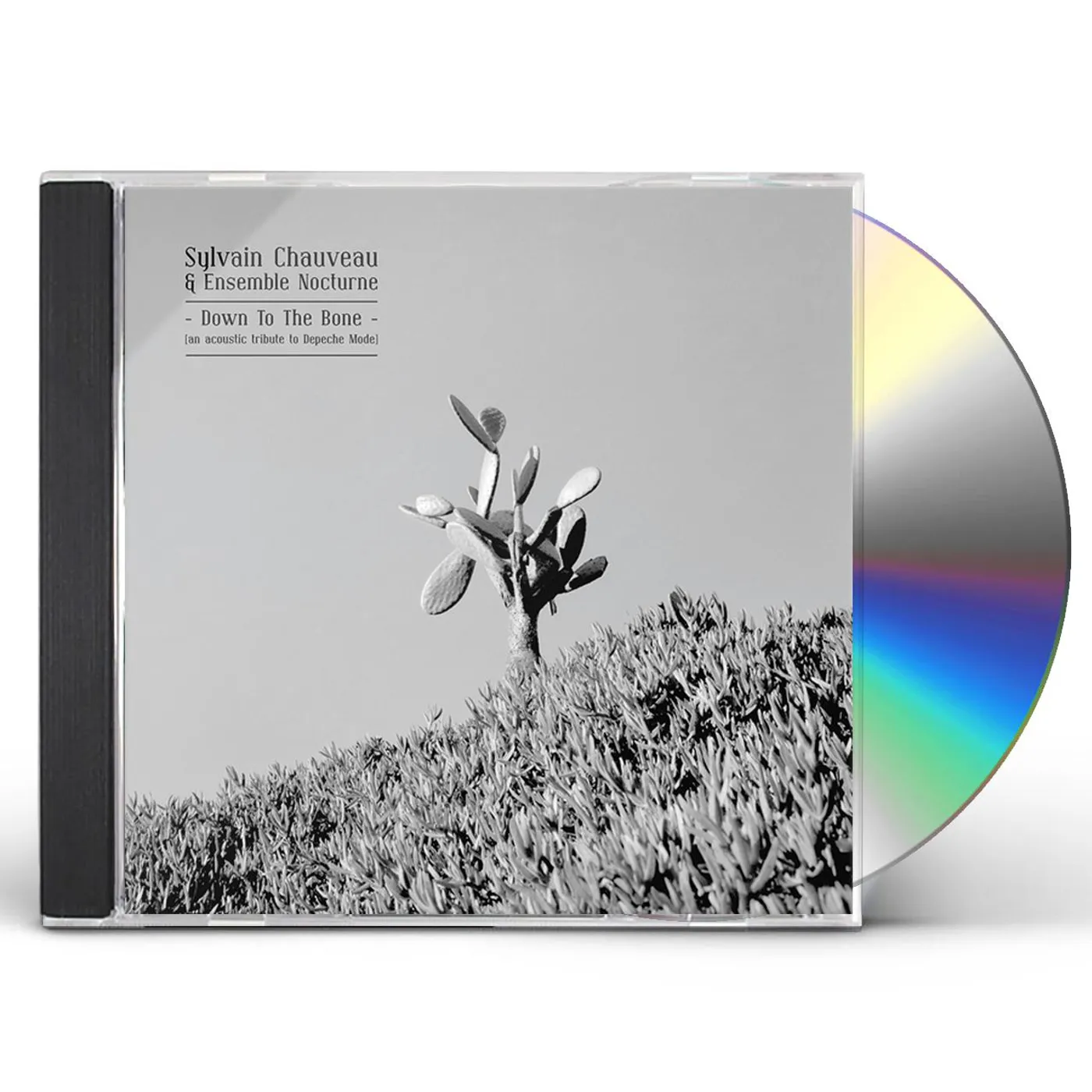 Sylvain Chauveau DOWN TO THE BONE: ACOUSTIC TRIBUTE TO DEPECHE MODE CD
