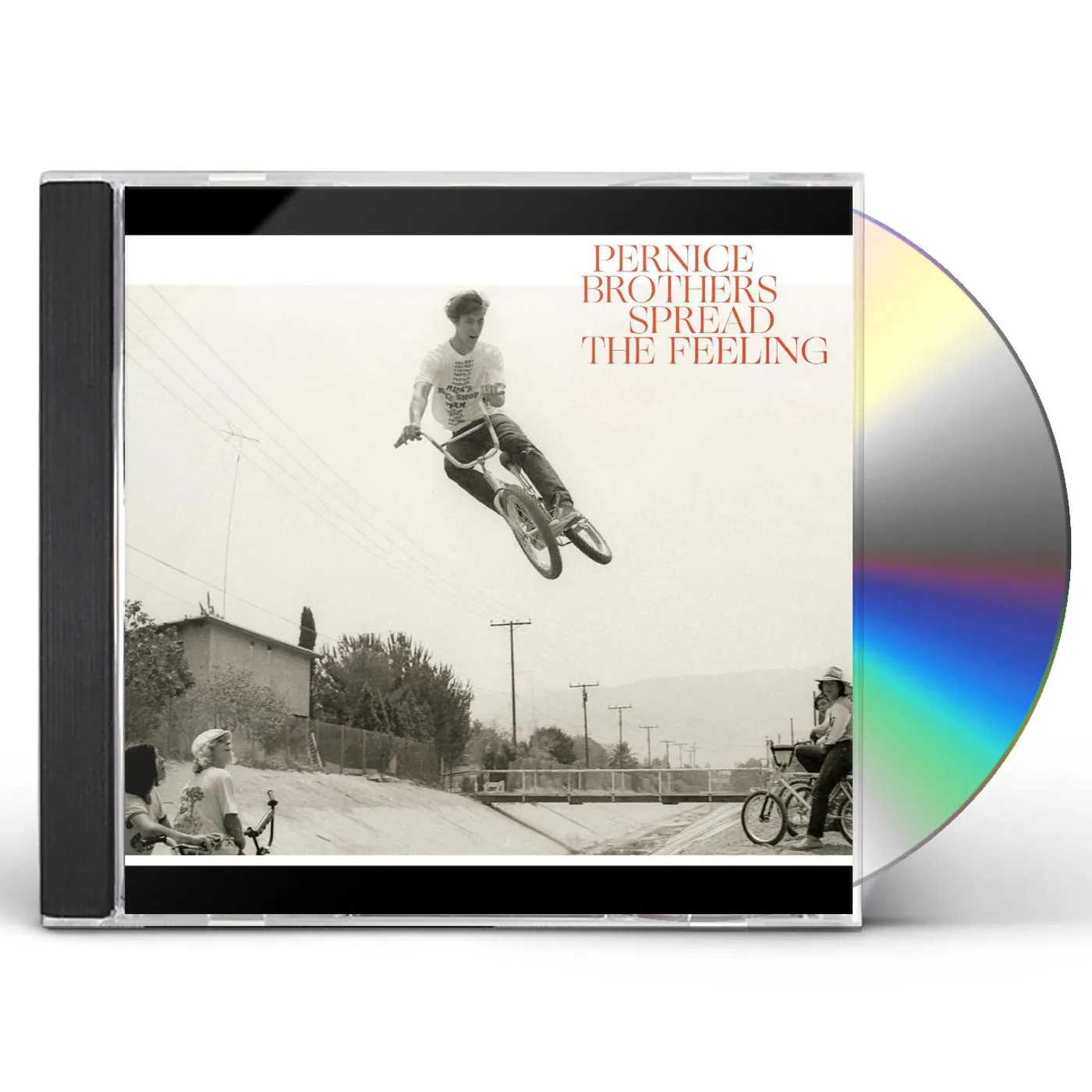 Pernice Brothers SPREAD THE FEELING CD