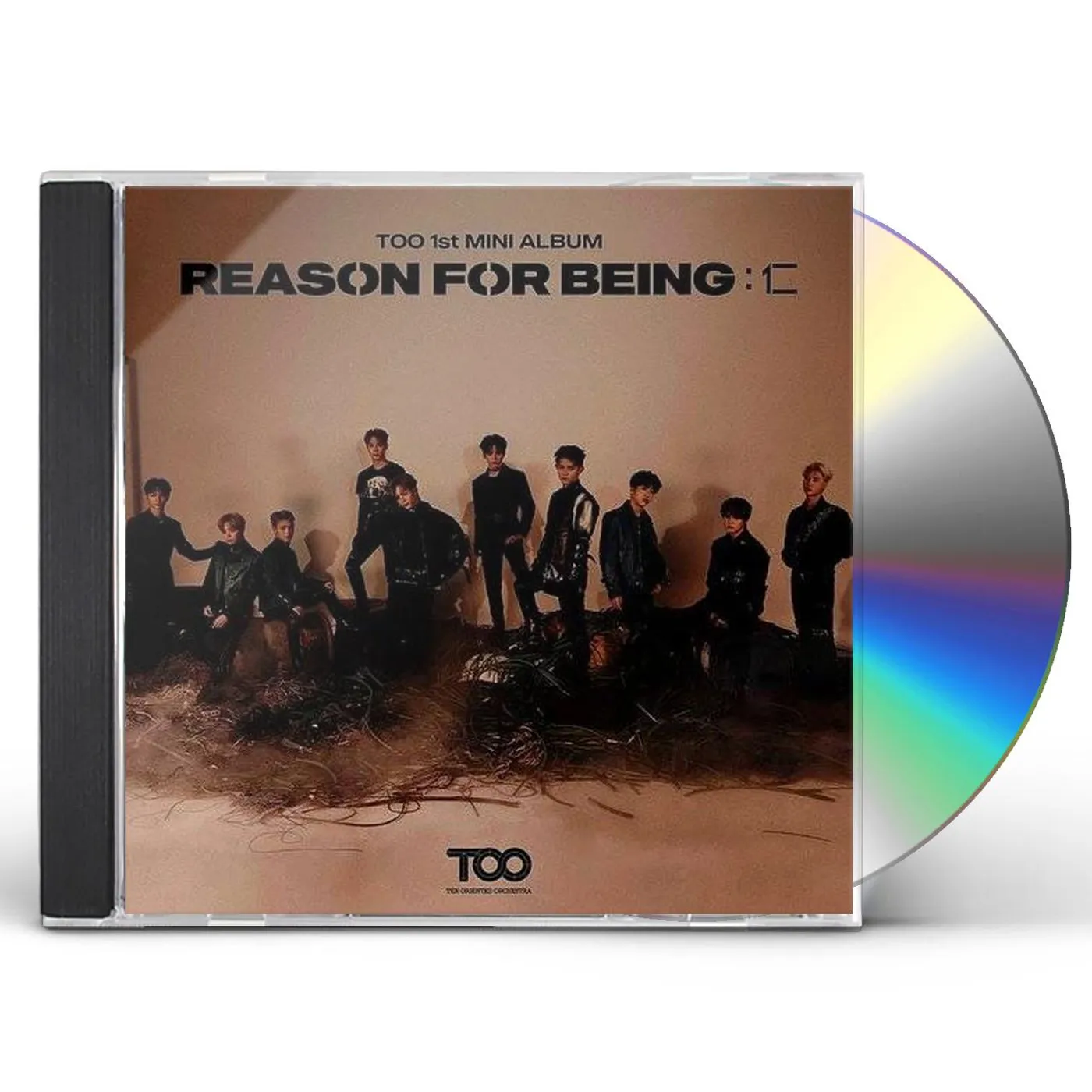 TOO REASON FOR BEING (RANDOM COVER) CD