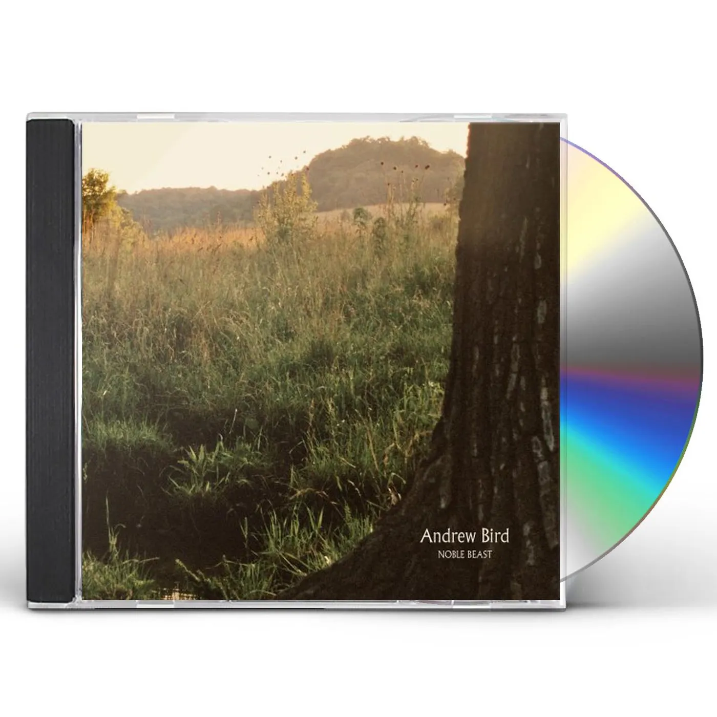 Andrew Bird NOBLE BEAST CD