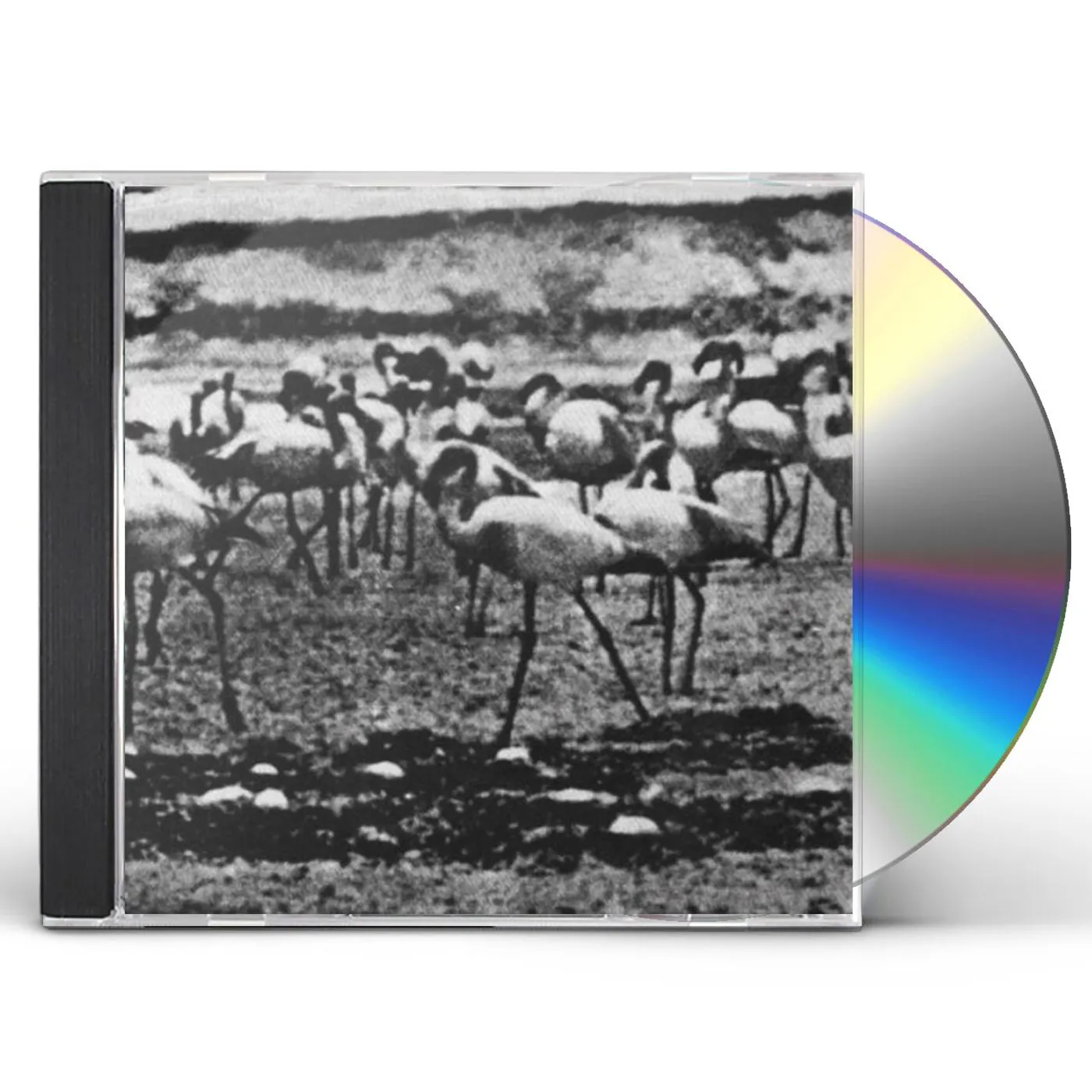 Kellarissa FLAMINGO CD