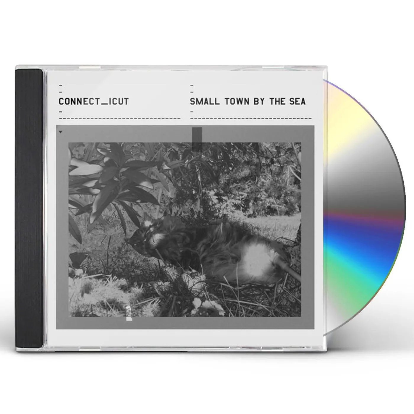 Connecticut SMALL TOWN BY THE SEA CD