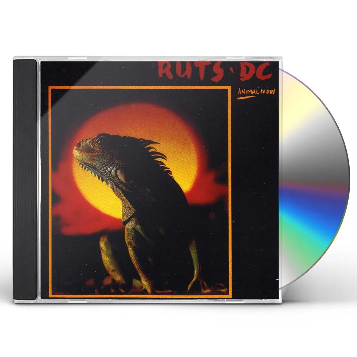 Ruts Dc ANIMAL NOW CD