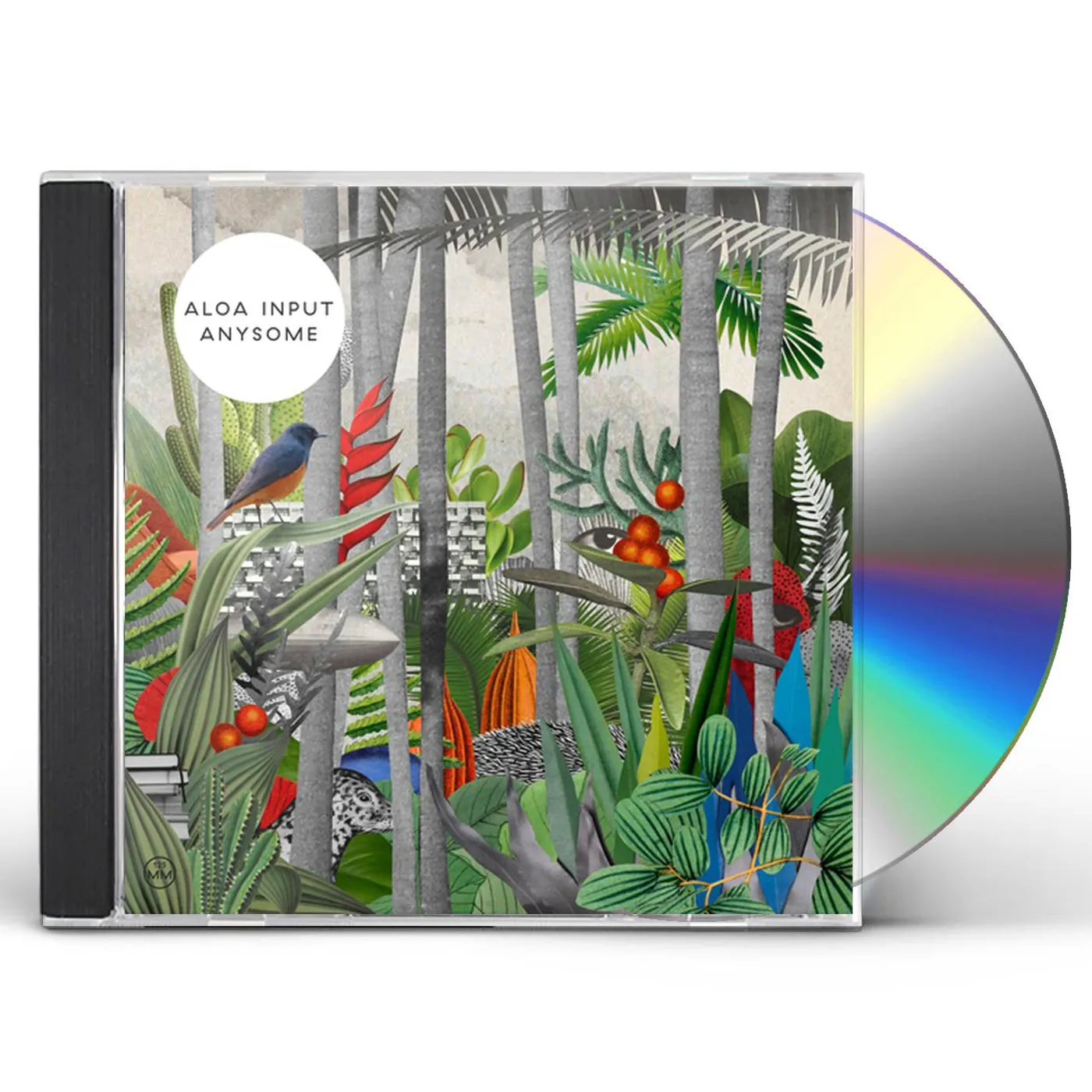 Aloa Input ANYSOME CD