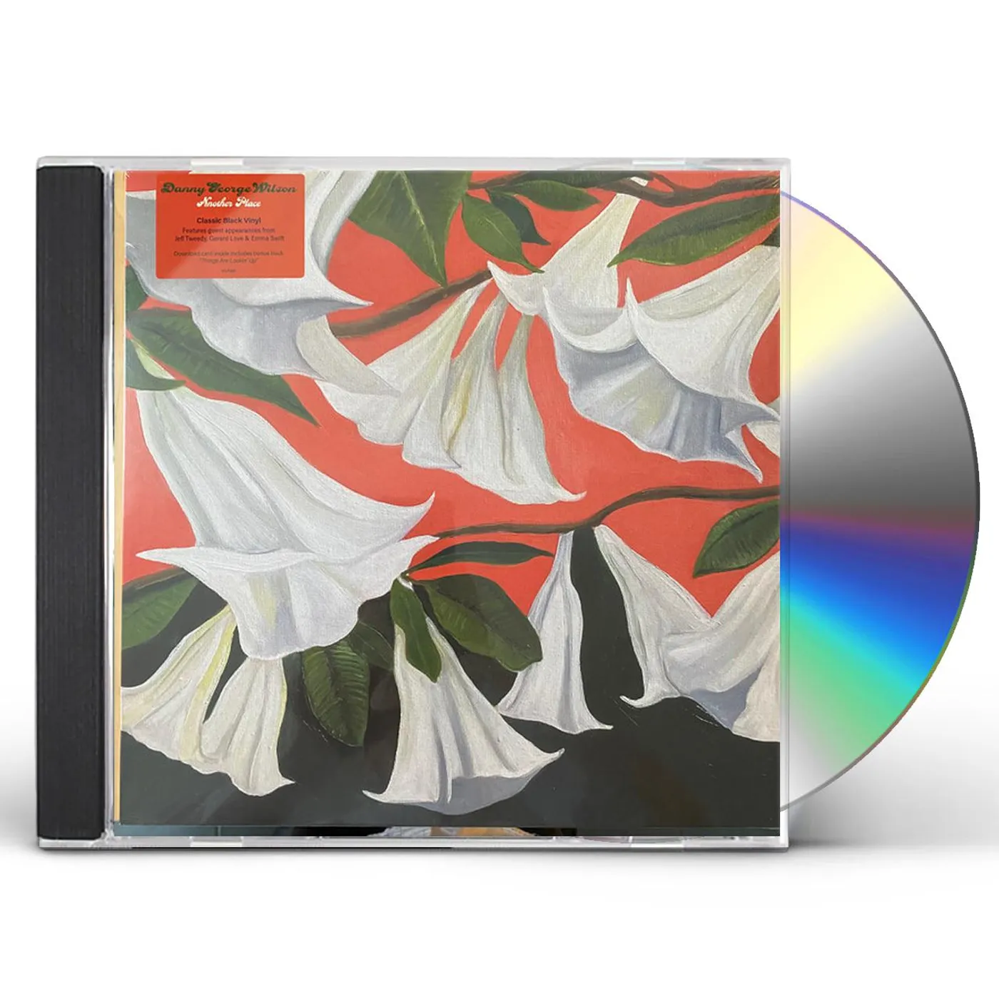 Danny Wilson ANOTHER PLACE CD