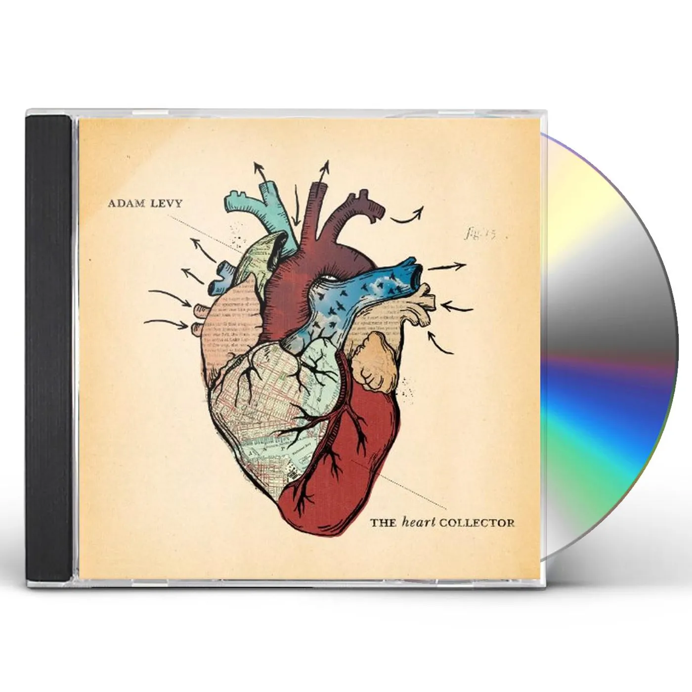 Adam Levy HEART COLLECTOR CD
