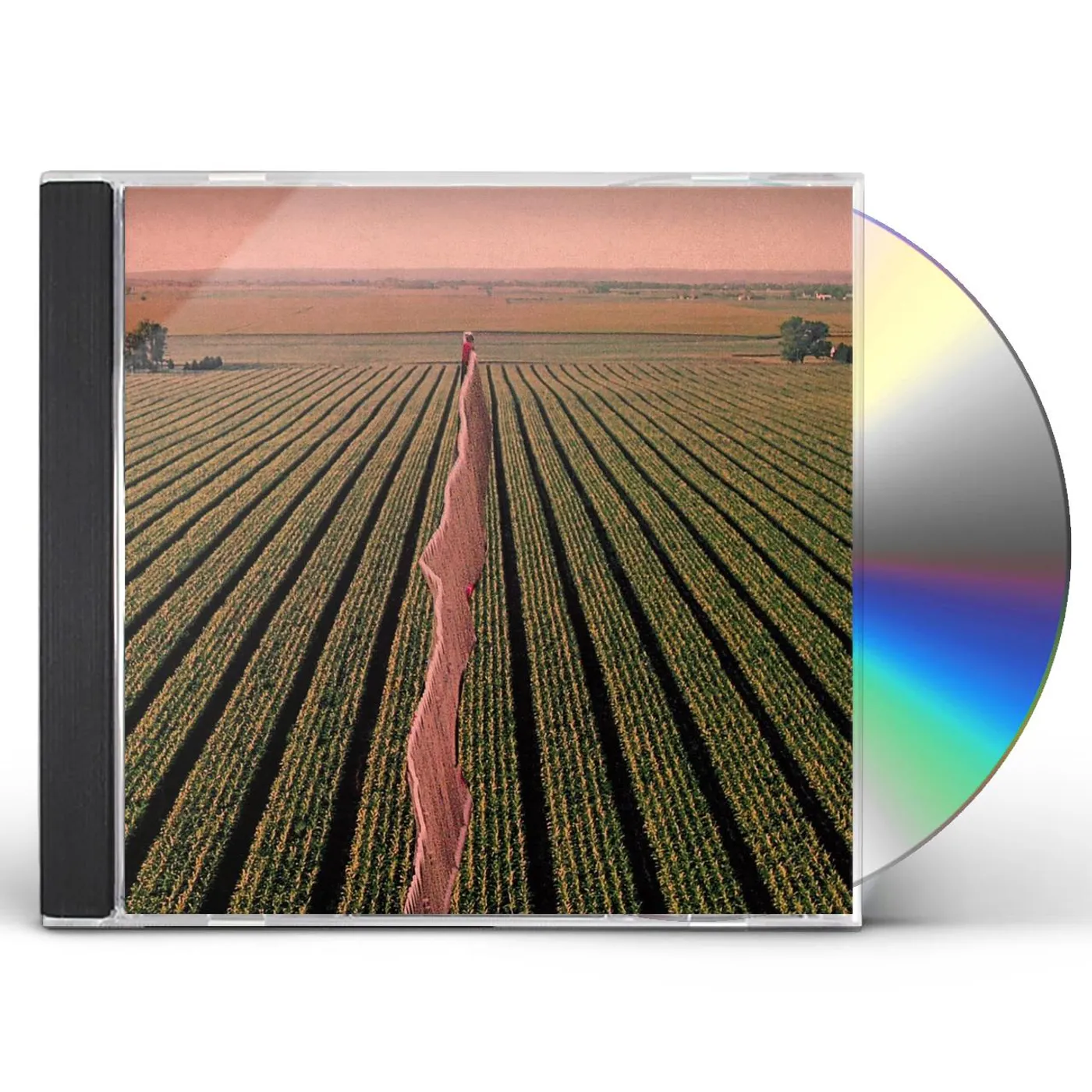 Possible Humans EVERYBODY SPLIT CD